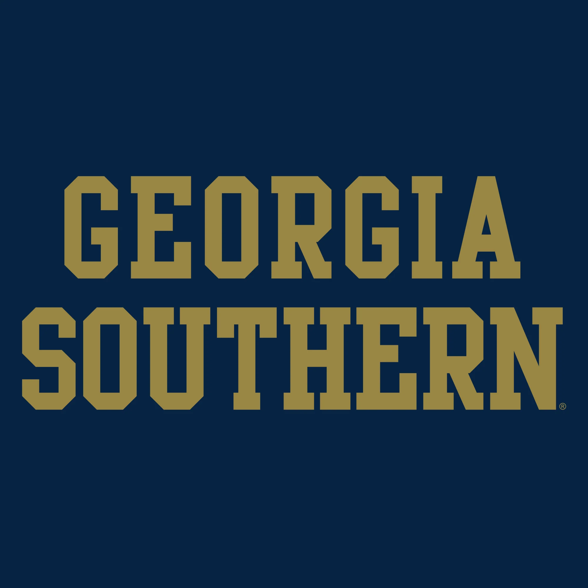Georgia Southern University Eagles Basic Block Cotton Youth T-Shirt - Navy - Image 2