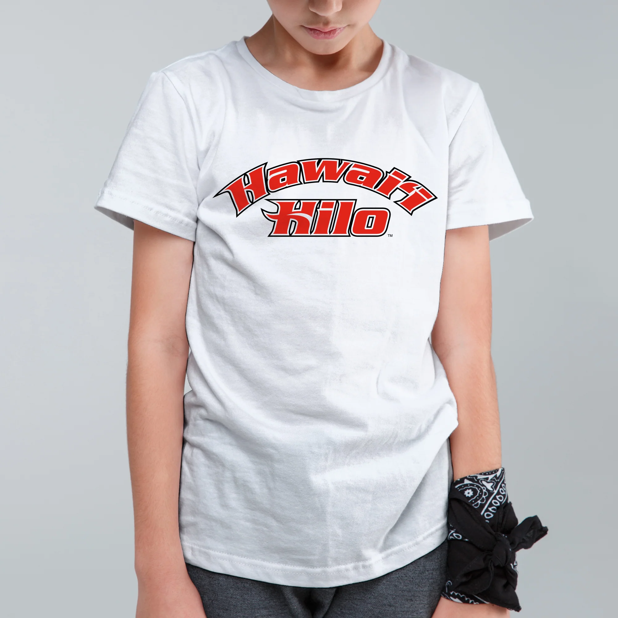 Hawaii Hilo Vulcans Arch Logo Youth T Shirt - White - Image 3