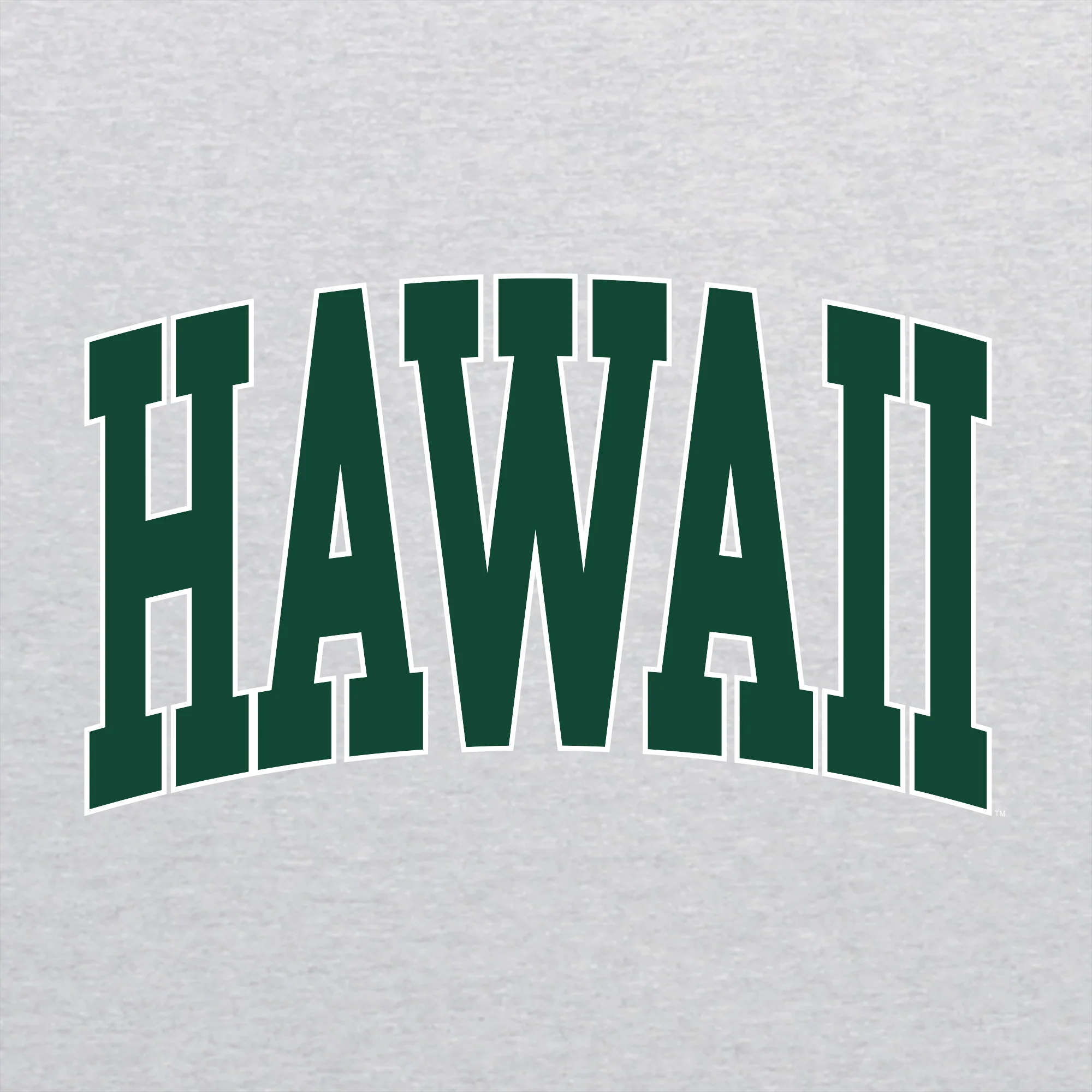 Hawaii Rainbow Warriors Mega Arch T-Shirt - Ash - Image 2