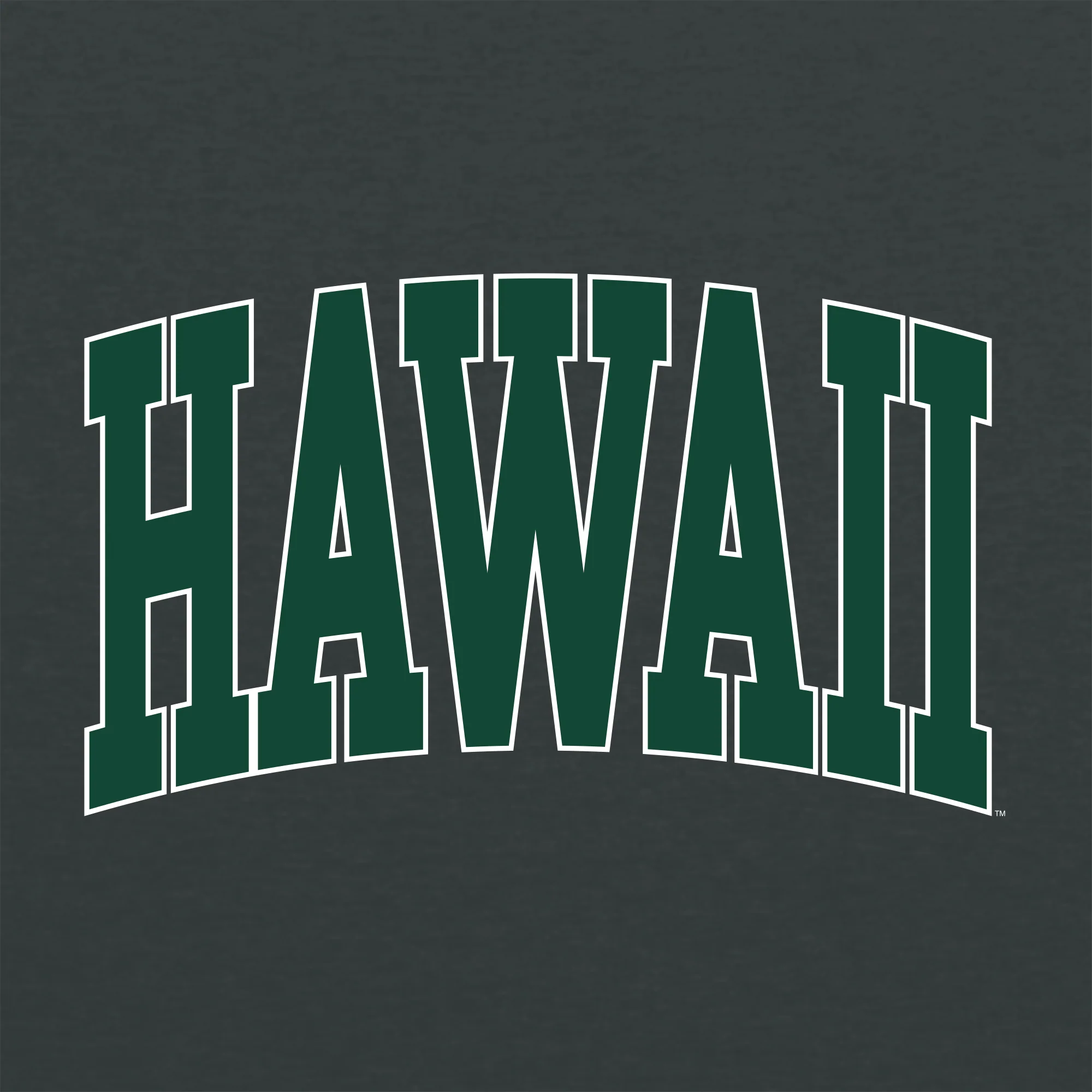 Hawaii Rainbow Warriors Mega Arch T-Shirt - Dark Heather - Image 2