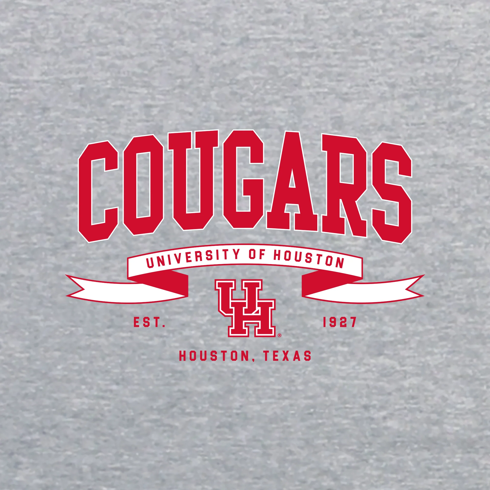 Houston Ribbon Flight JA BTB Crewneck - Oxford - Image 2