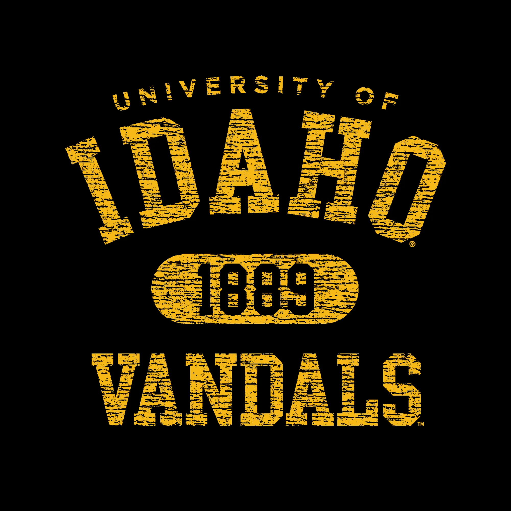 Idaho Athletic Arch Hoodie - Black - Image 2