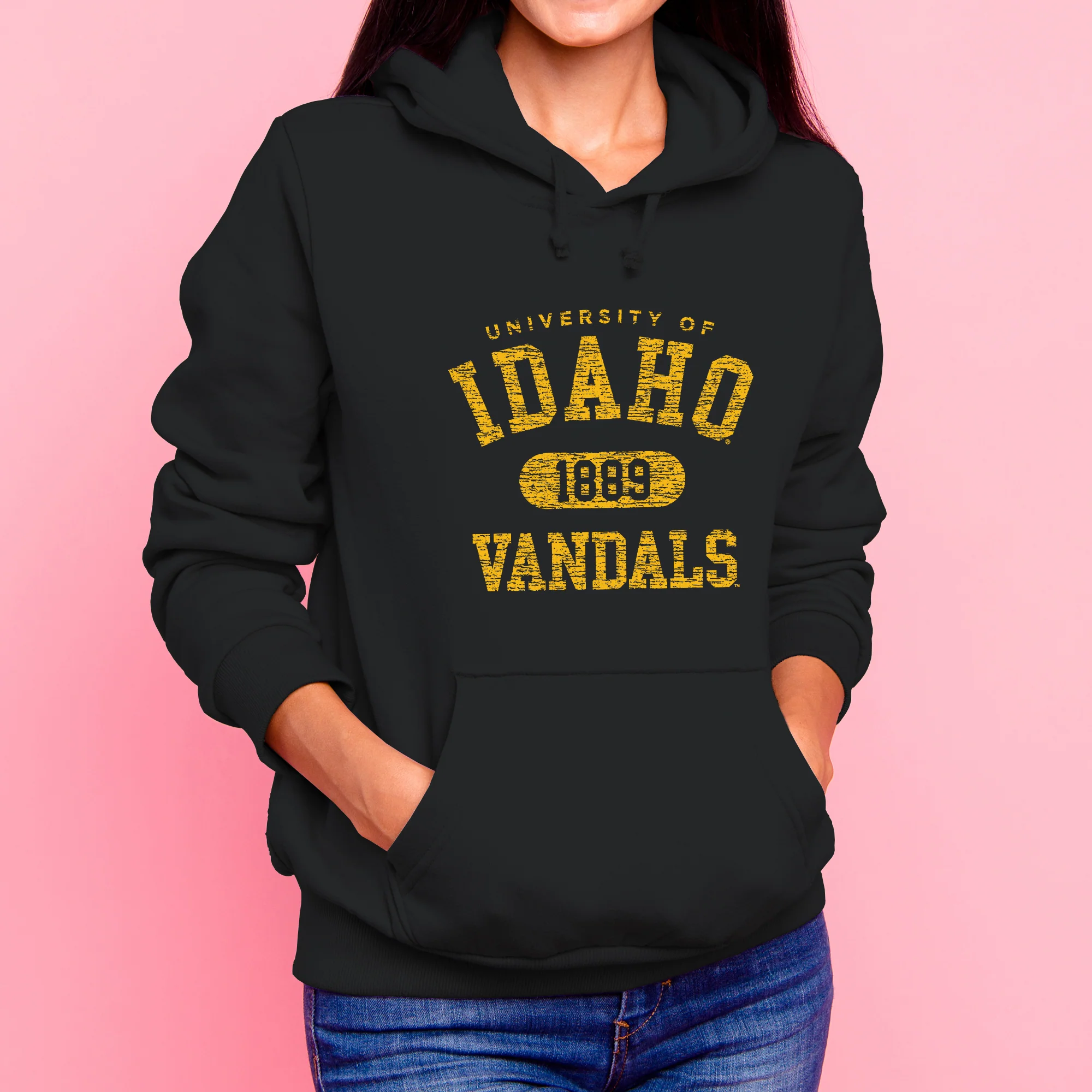 Idaho Athletic Arch Hoodie - Black - Image 4