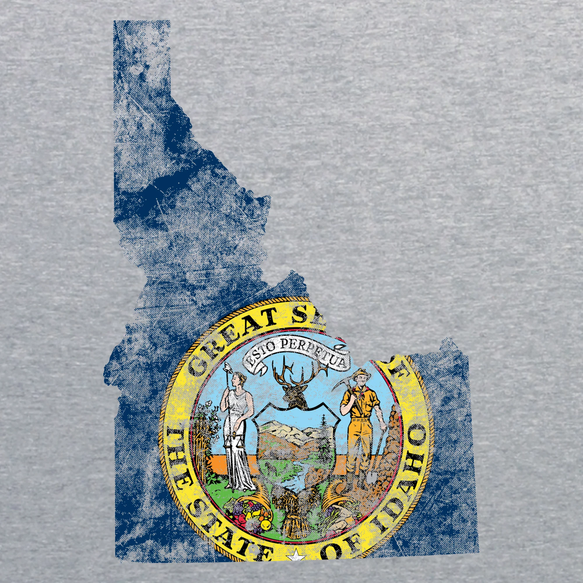 Idaho Distressed State Flag Outline NLA T-Shirt - Heather Grey - Image 2