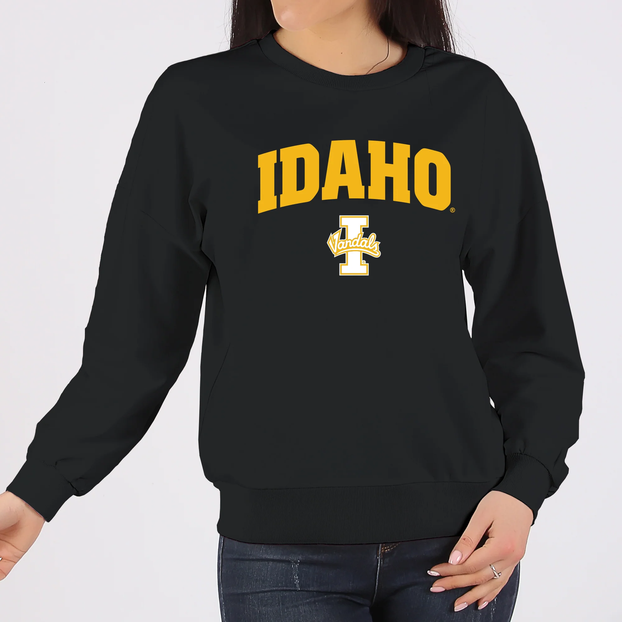 Idaho Vandals Arch Logo Crewneck Sweatshirt - Black - Image 4