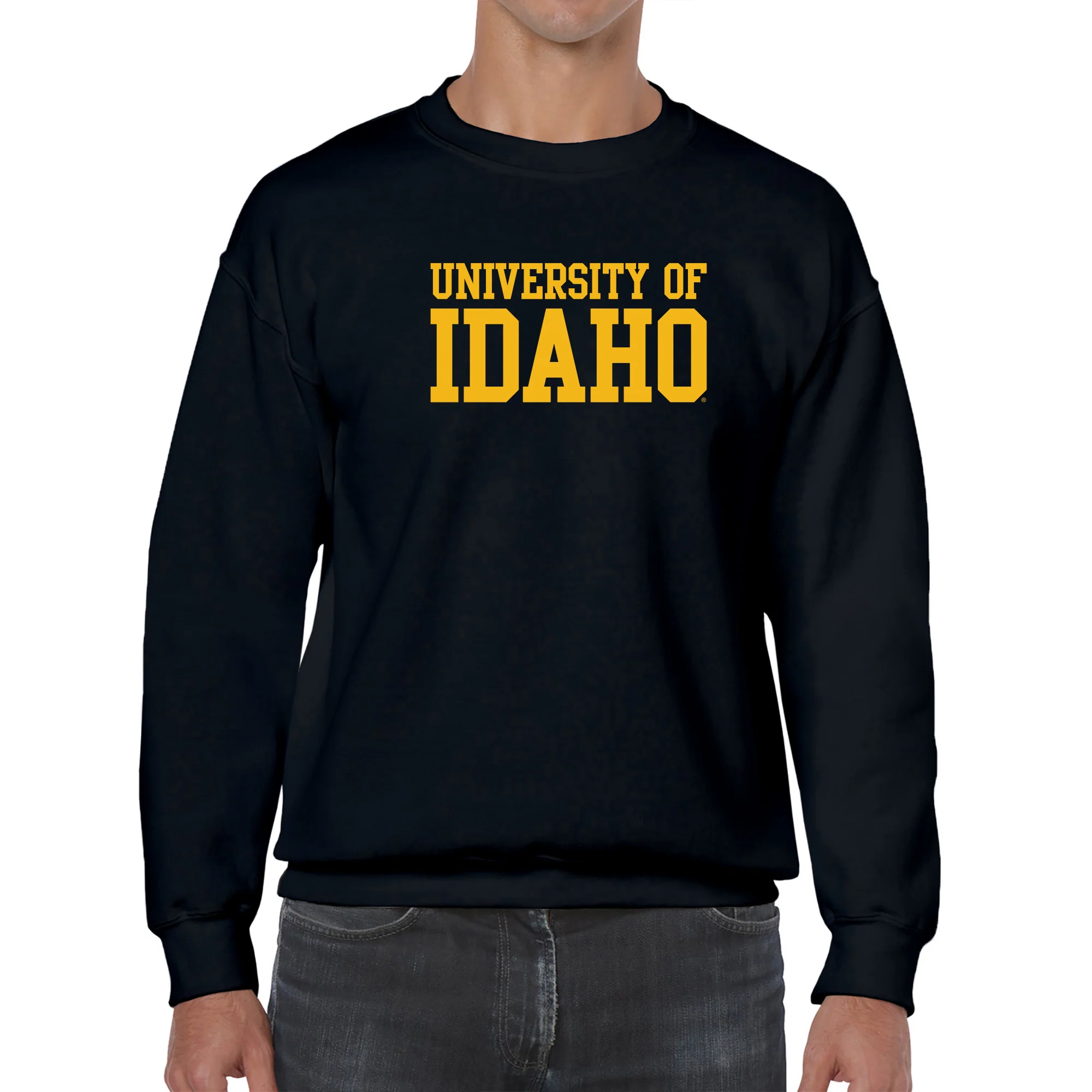 Idaho Vandals Basic Block Crewneck Sweatshirt - Black - Image 3
