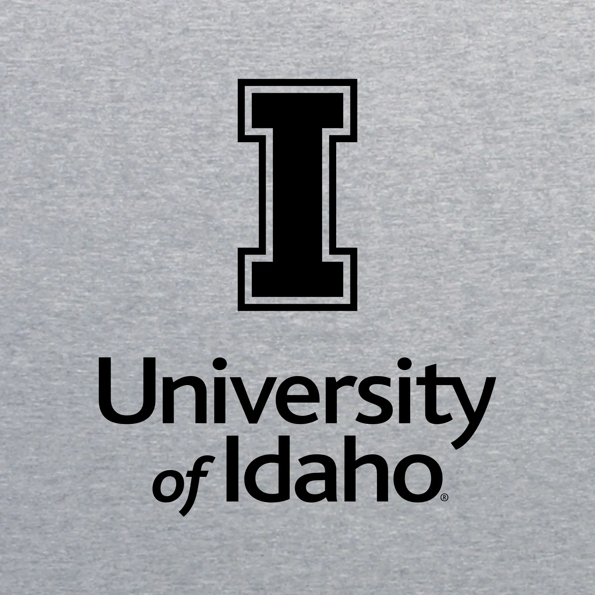 Idaho Vandals Institutional Logo Hoodie - Sport Grey - Image 2