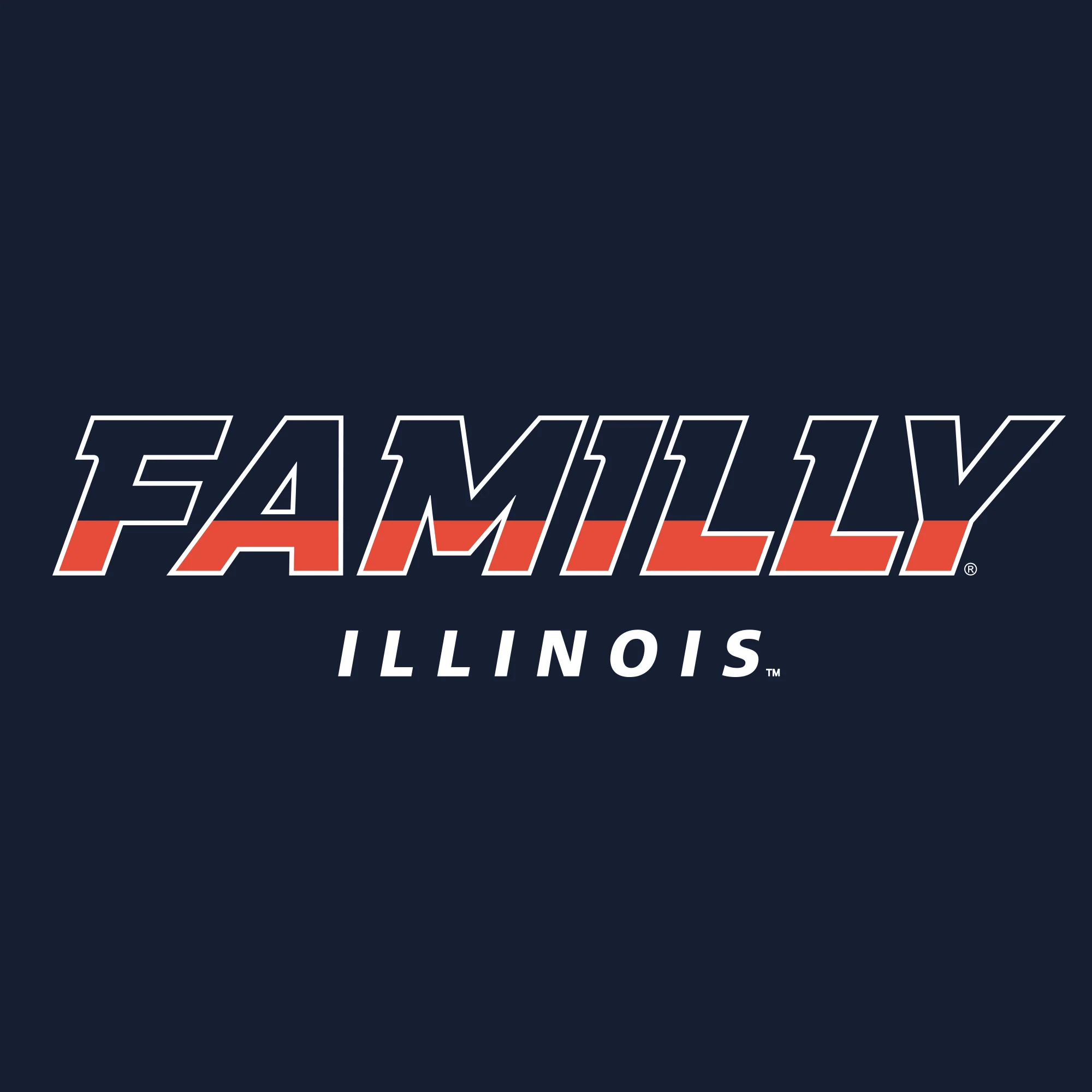 Illinois FAMILLY Hoodie - Navy - Image 2