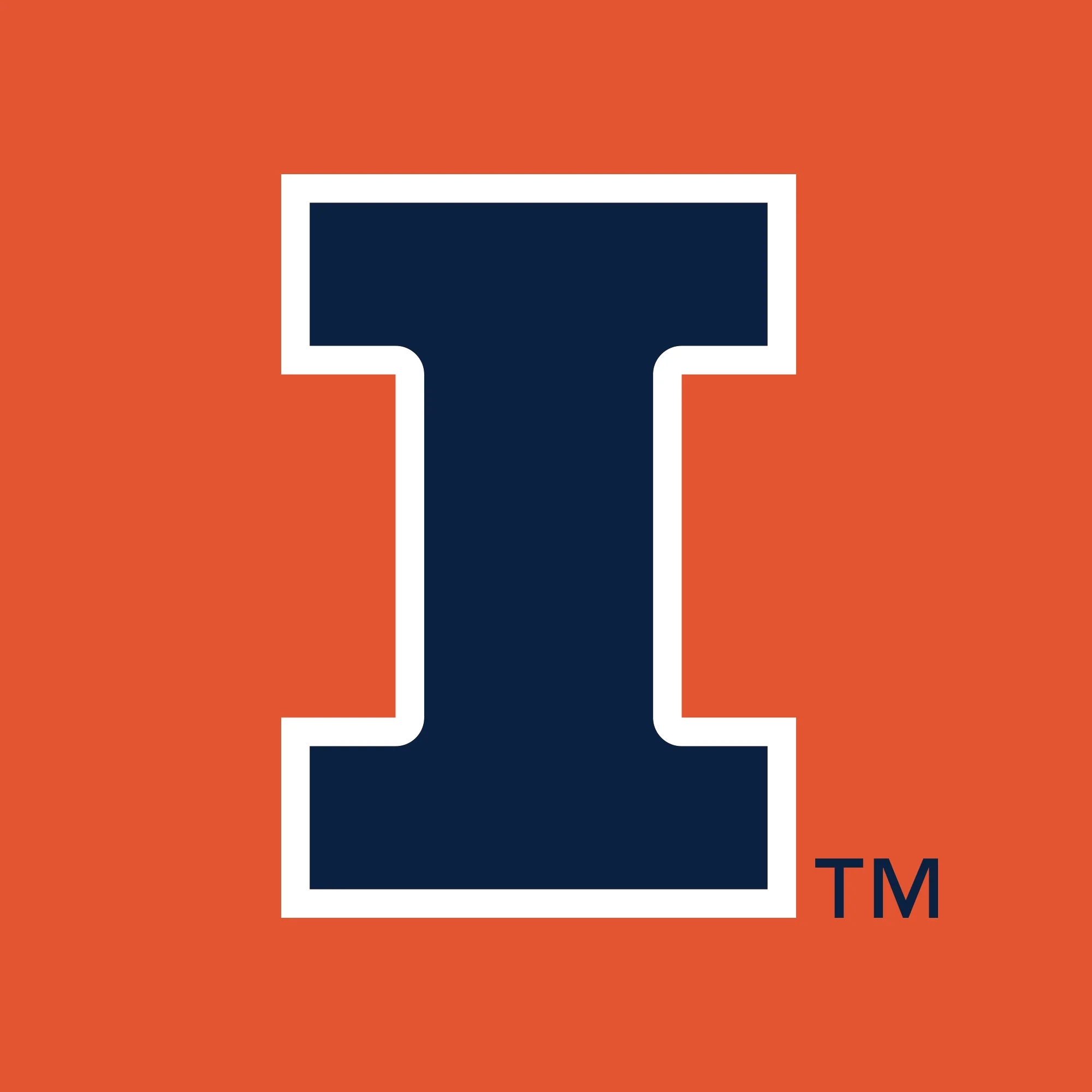 Illinois Primary Logo Dad Hat - Image 5