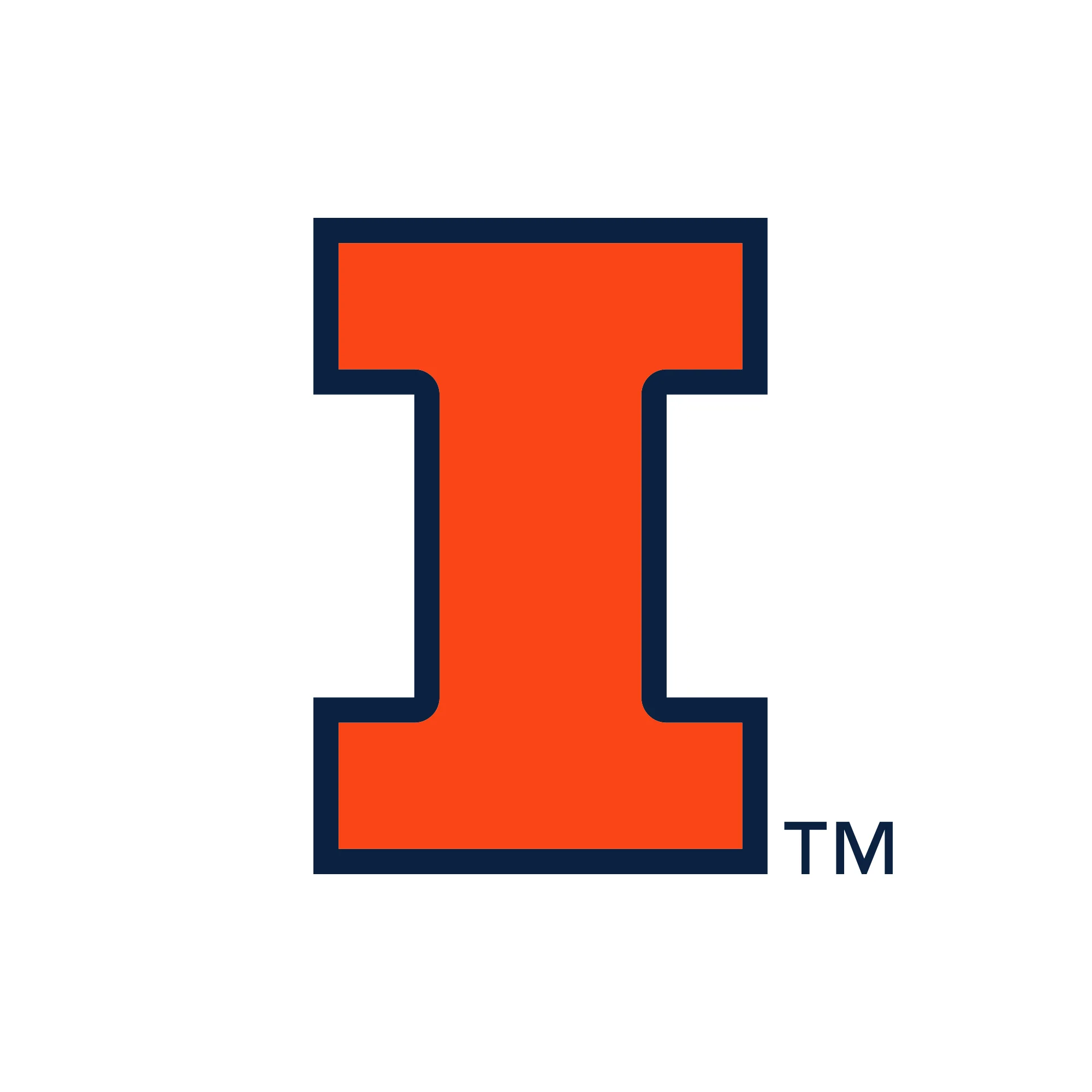 Illinois Primary Logo Dad Hat - Image 8