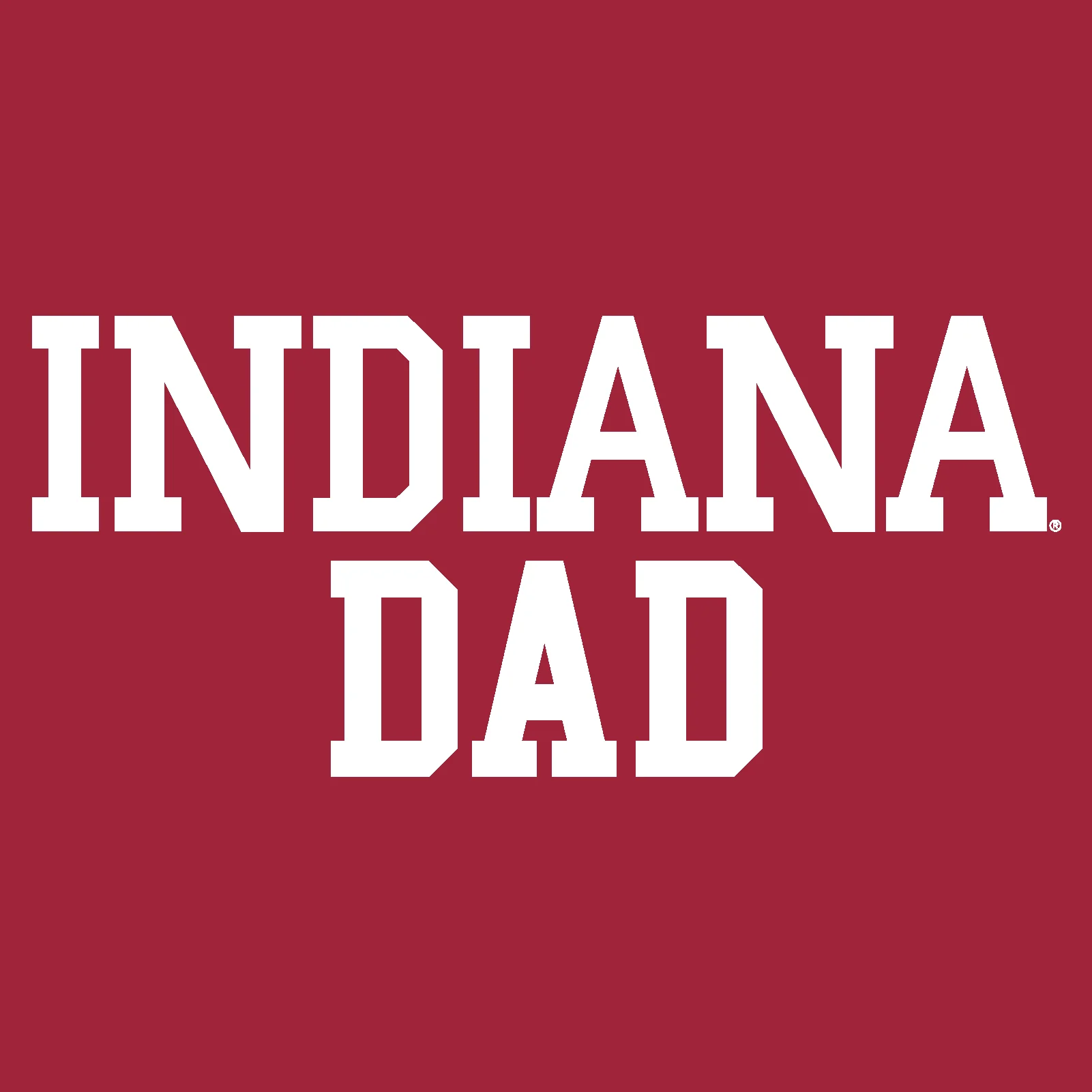 Indiana University Hoosiers Basic Block Dad - Cardinal - Image 2