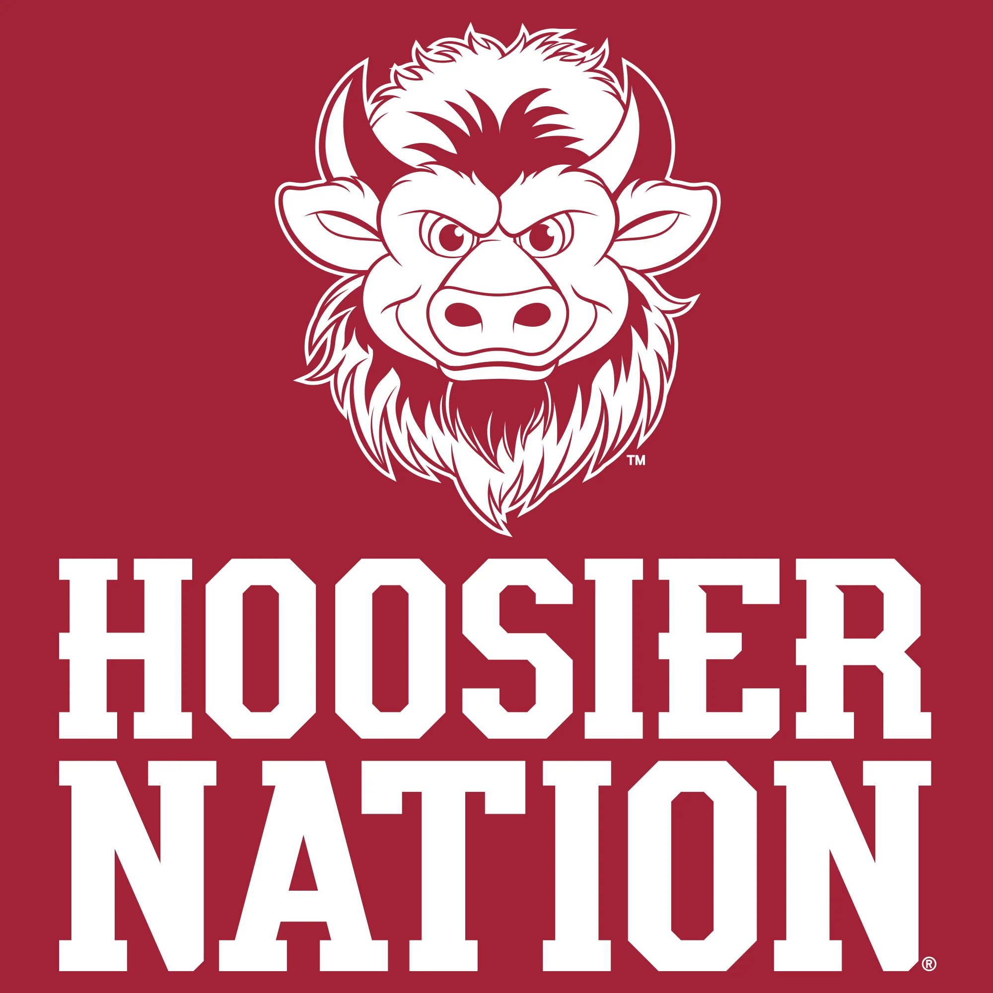 Indiana Hoosier Nation Bison T-Shirt - Image 3
