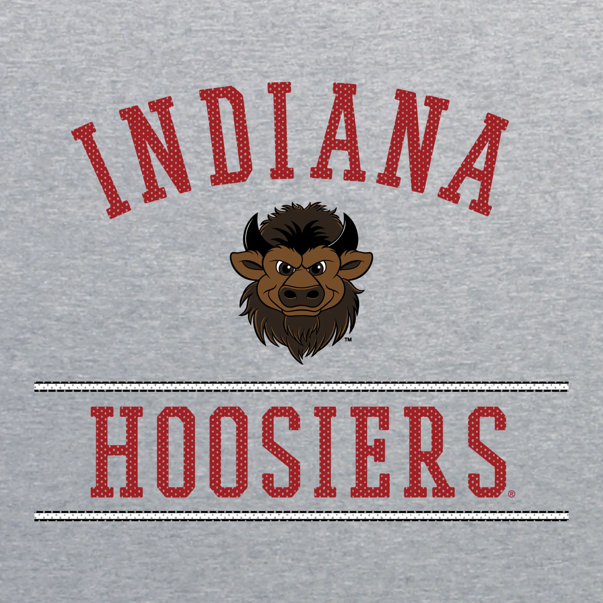 Indiana Mesh Arch Bison Crewneck - Sport Grey - Image 2