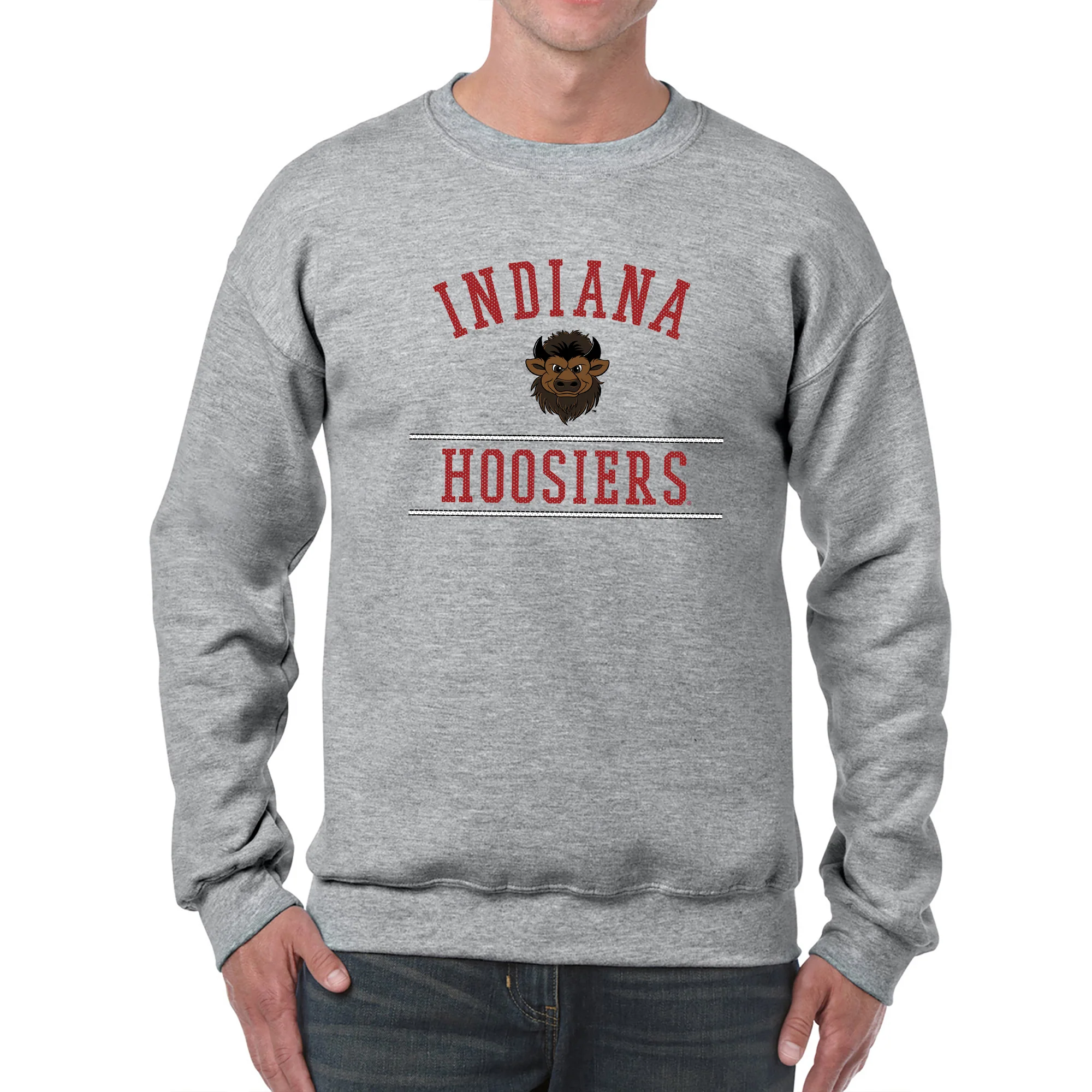 Indiana Mesh Arch Bison Crewneck - Sport Grey - Image 3
