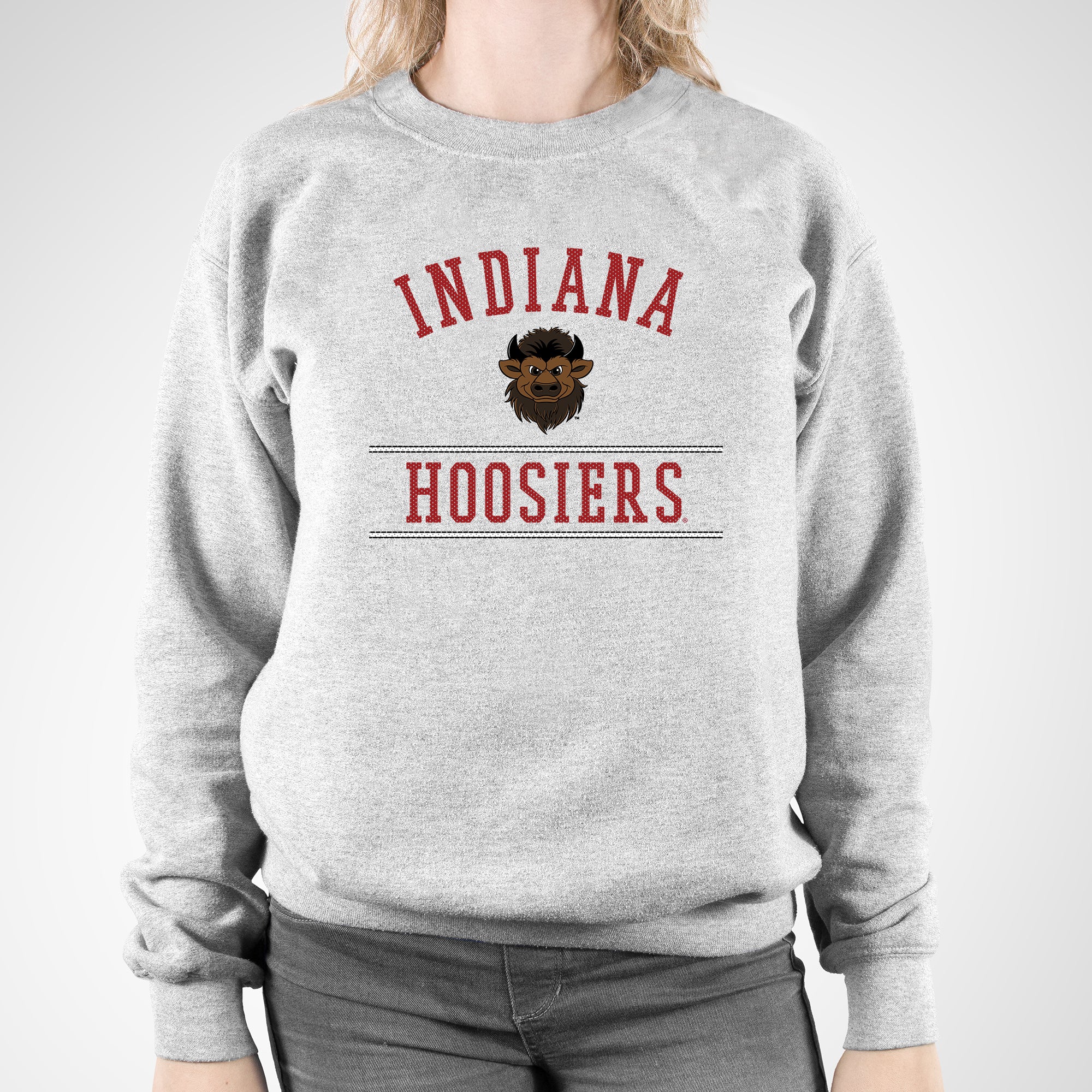 Indiana Mesh Arch Bison Crewneck - Sport Grey - Image 4