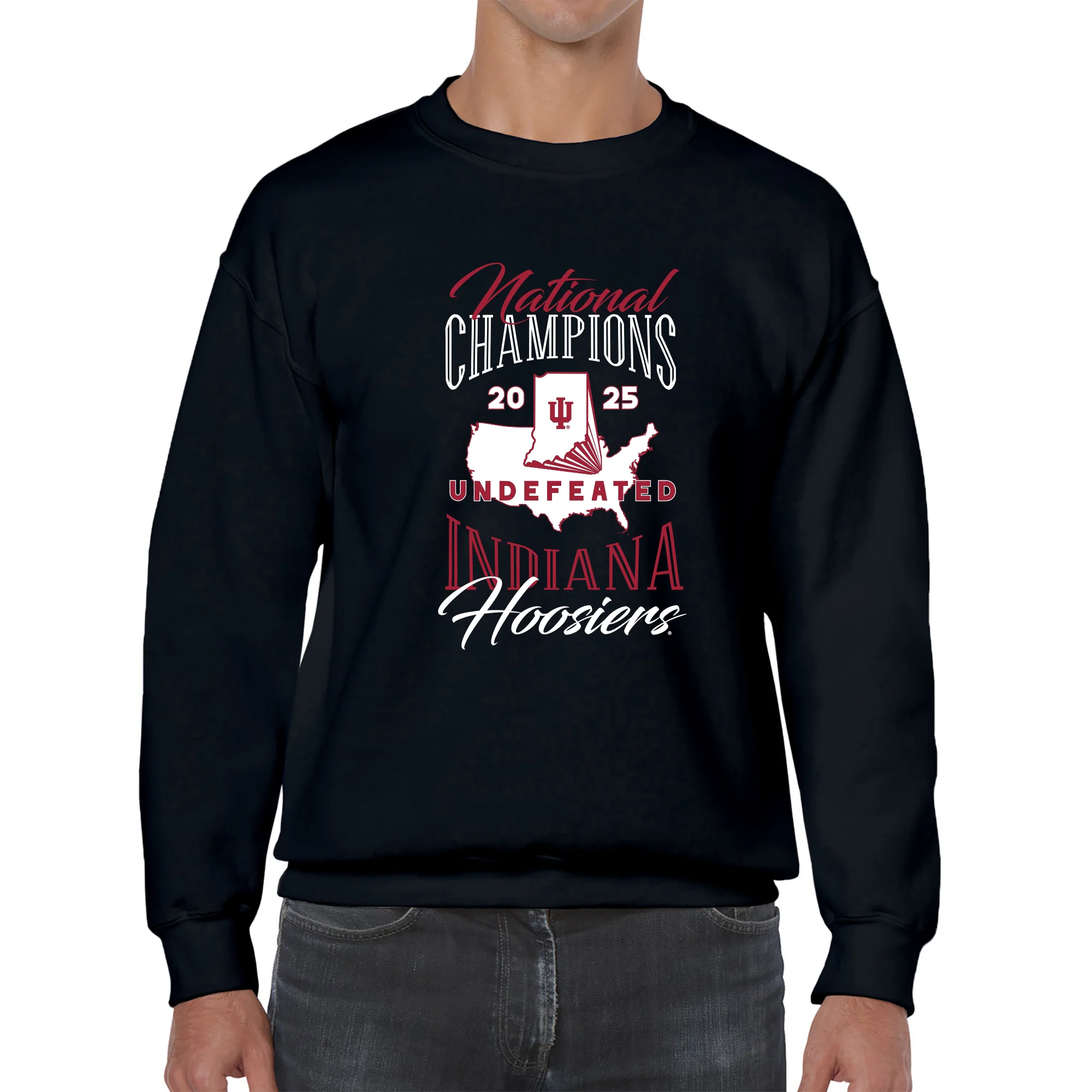Indiana National Champions 2025 USA BTB Fleece Crew - Image 4
