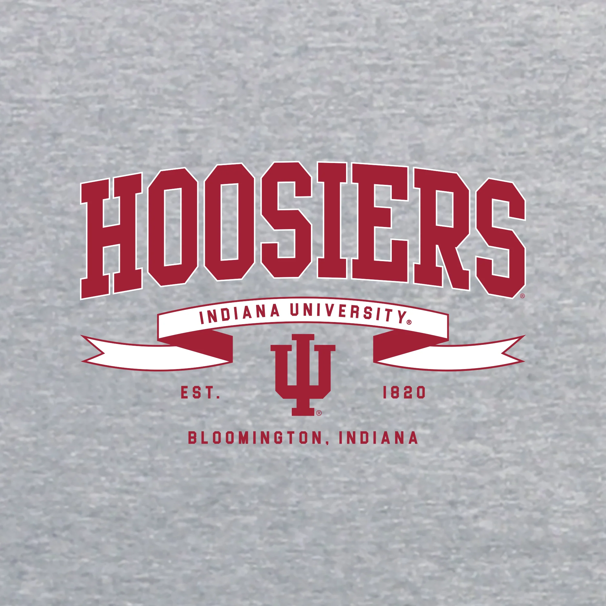Indiana Ribbon Flight JA BTB Crewneck - Oxford - Image 2