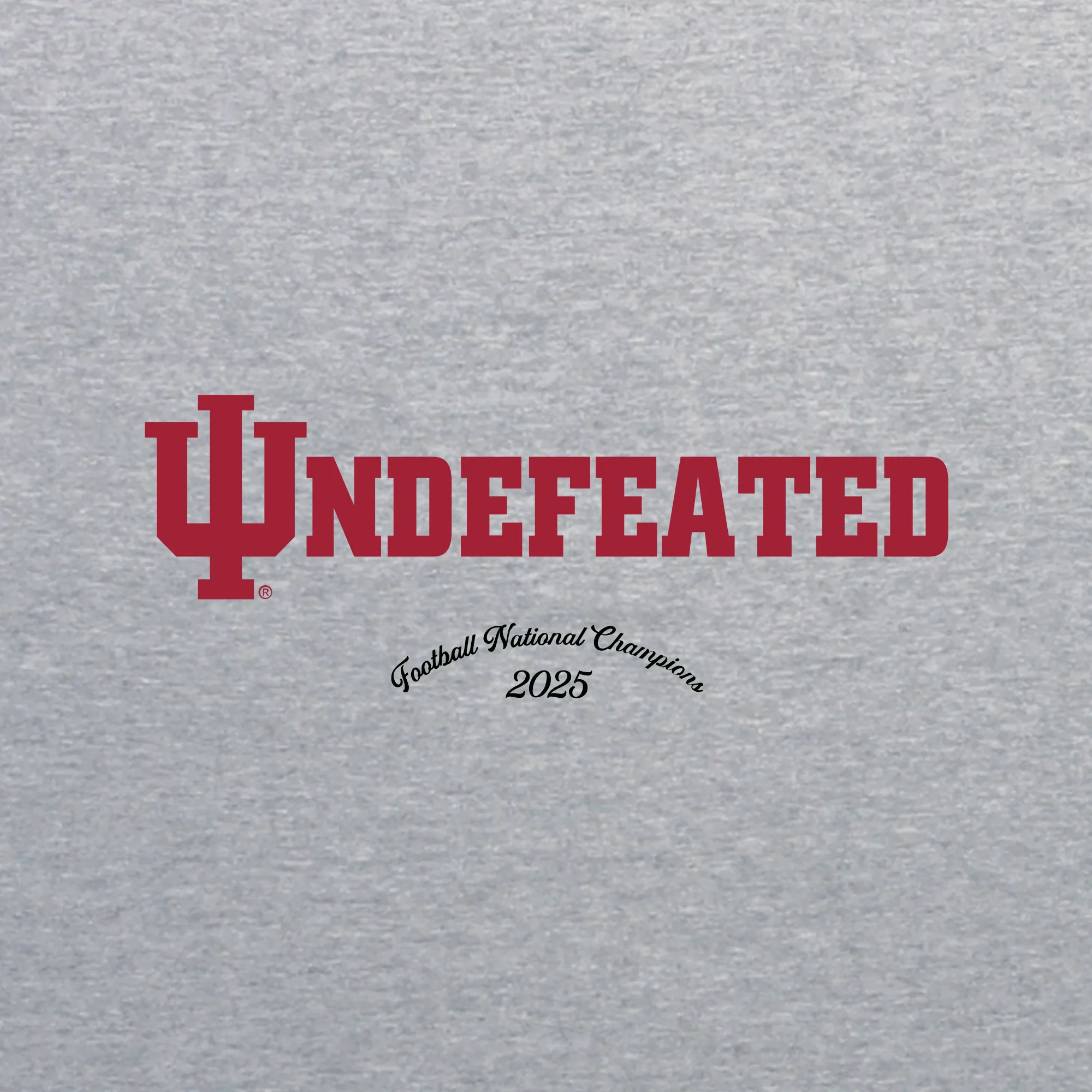 Indiana Trident Undefeated National Champions 2025 T-Shirt - Sport Grey - Image 2