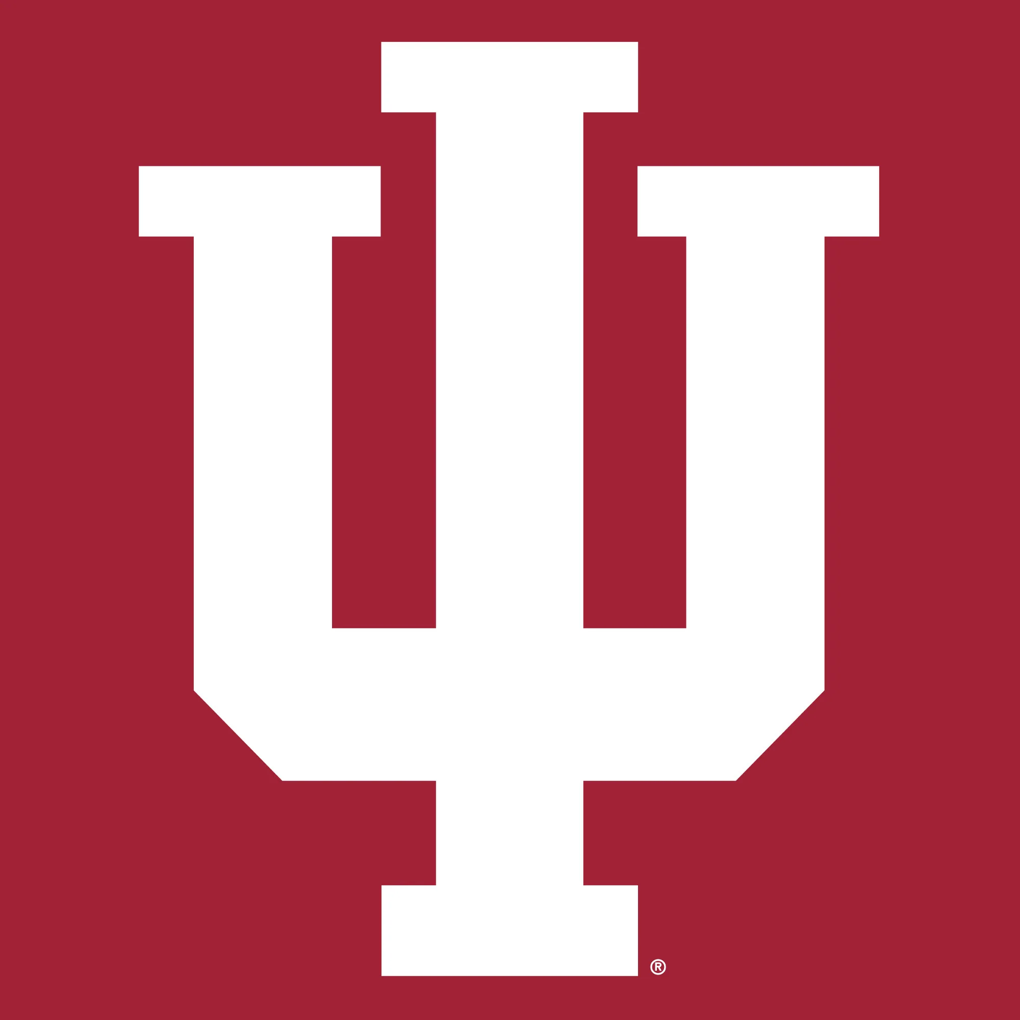 Indiana University Hoosiers Front Back Print Short Sleeve T Shirt - Cardinal - Image 4
