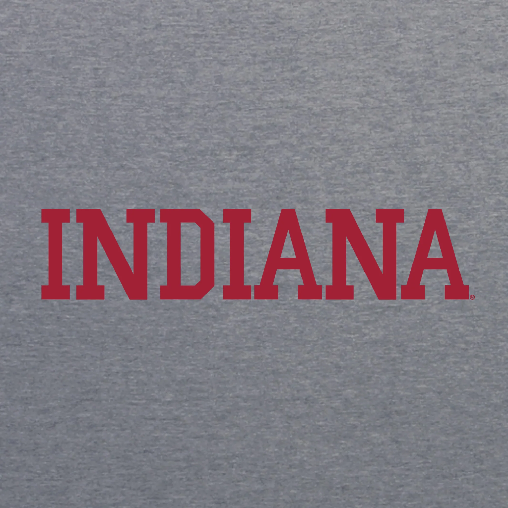 Indiana Basic Block NLA Triblend T-Shirt - Premium Heather - Image 2