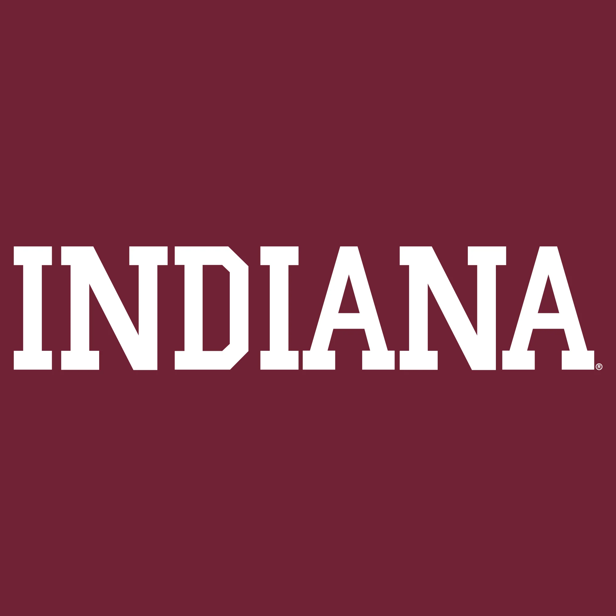Indiana University Hoosiers Basic Block Youth Short Sleeve T-Shirt - Cardinal - Image 2