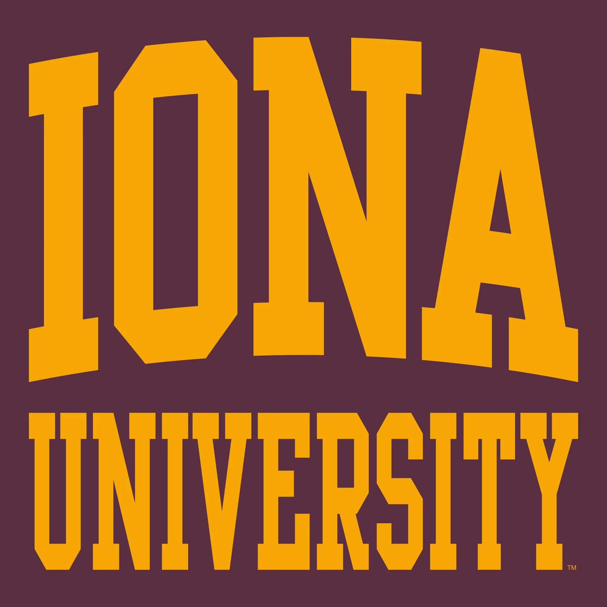 Iona University Gaels Front and Back Print Heavy Blend Hoodie - Maroon - Image 2