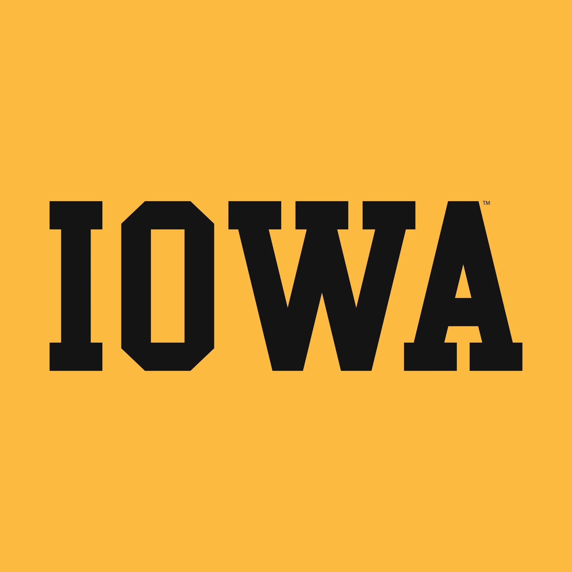 University of Iowa Hawkeyes Arch Logo Premium Cotton Short Sleeve T Shirt - Gold - Image 2