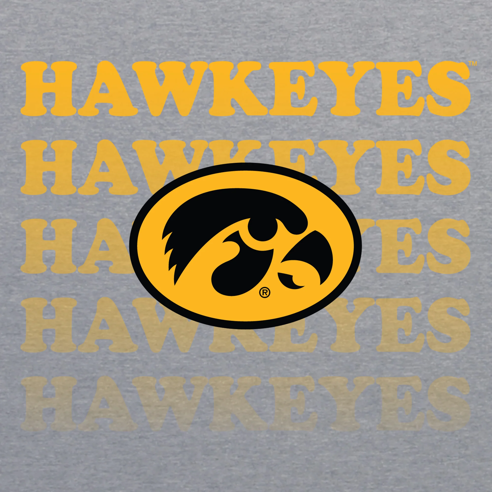 Iowa Graded Repeat Triblend T-Shirt - Premium Heather - Image 2