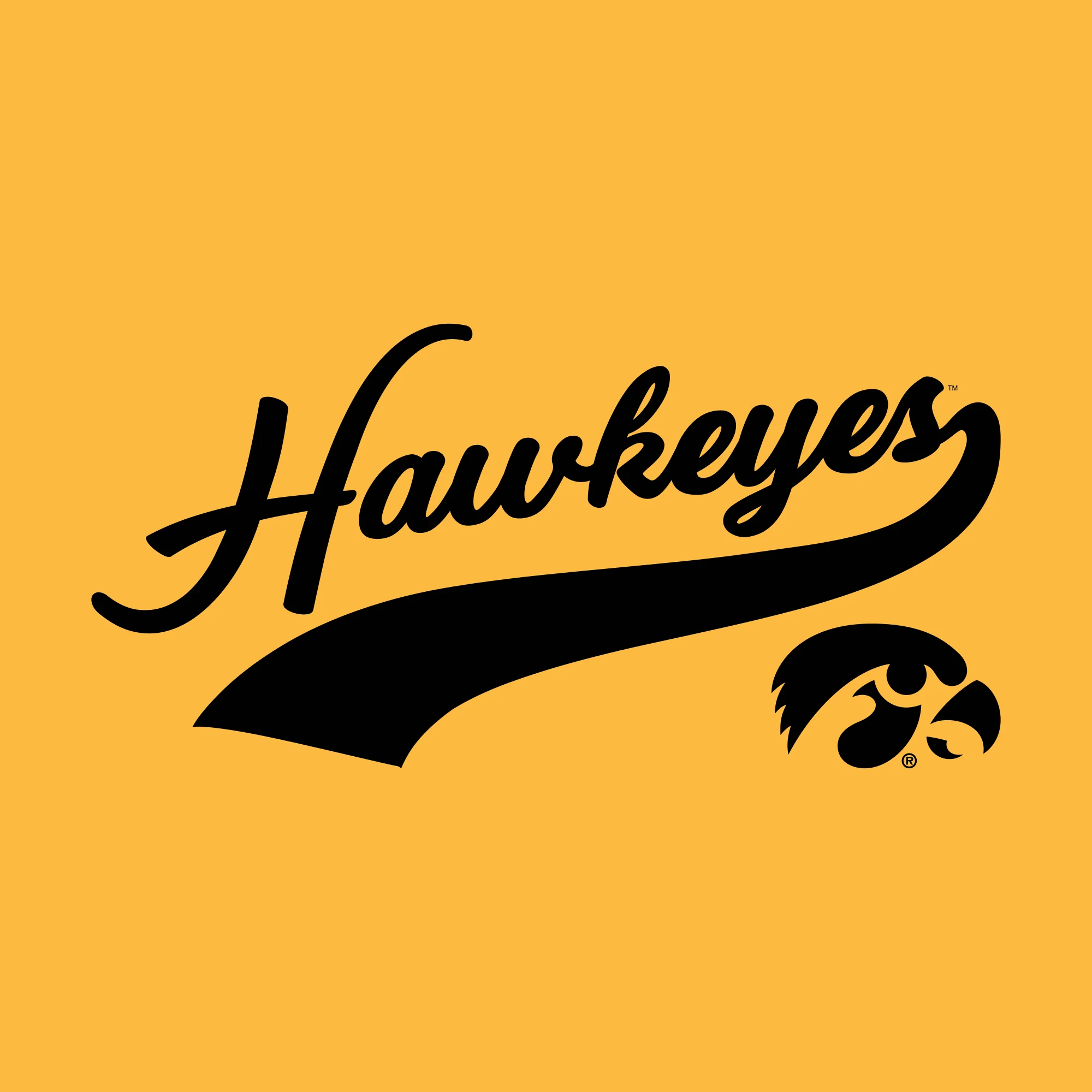 Iowa Hawkeyes Baseball Jersey Script Hoodie - Gold - Image 2
