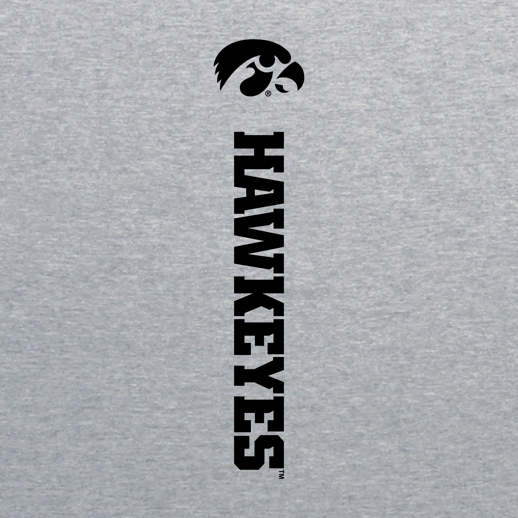 Iowa Logo Block JA BTB Sweatpants - Image 5