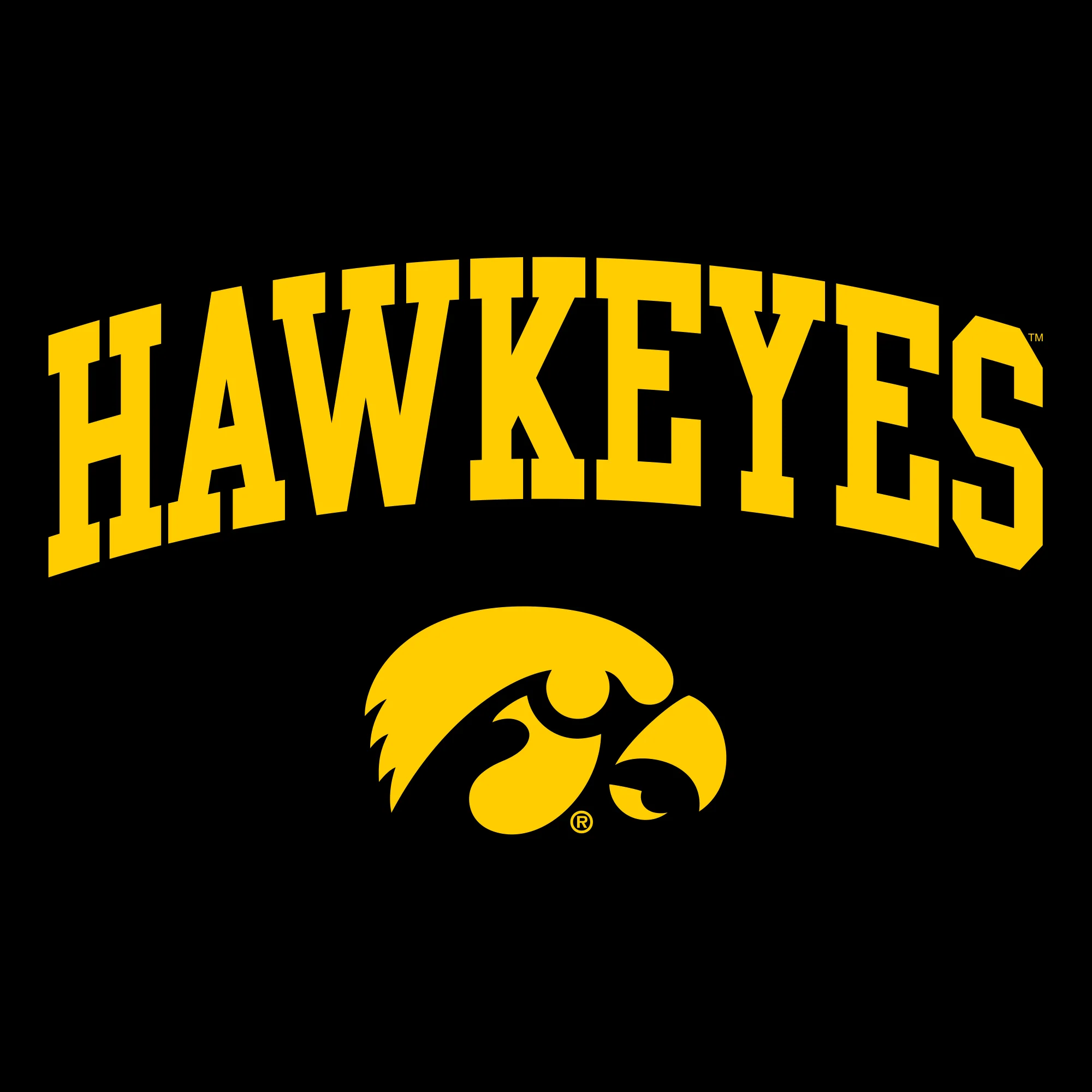Mascot Arch Logo Iowa Hawkeyes Basic Cotton Short Sleeve T Shirt - Black - Image 2