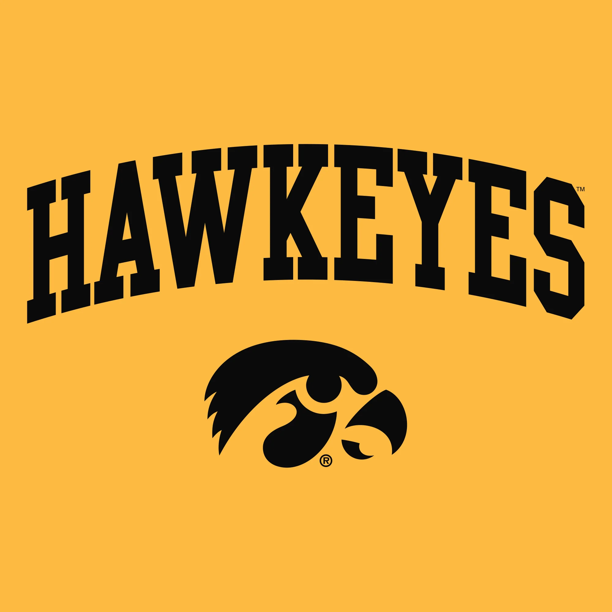 Mascot Arch Logo Iowa Hawkeyes Basic Cotton Short Sleeve T Shirt - Gold - Image 2