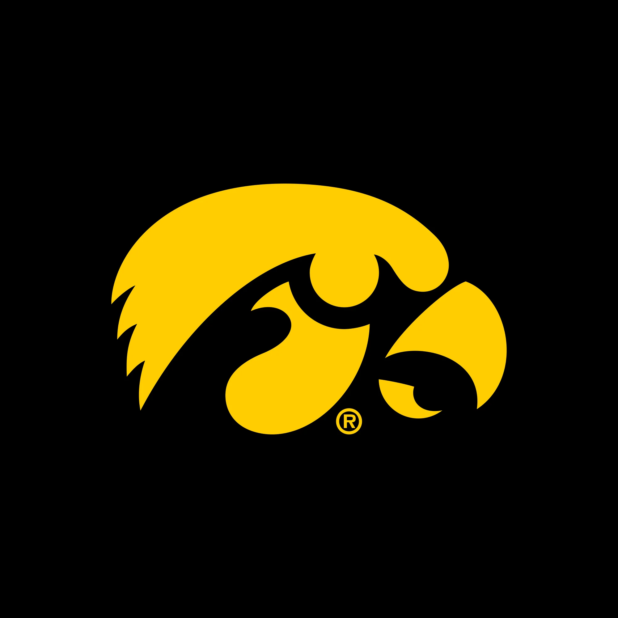 Iowa Primary Logo Creeper - Black - Image 2