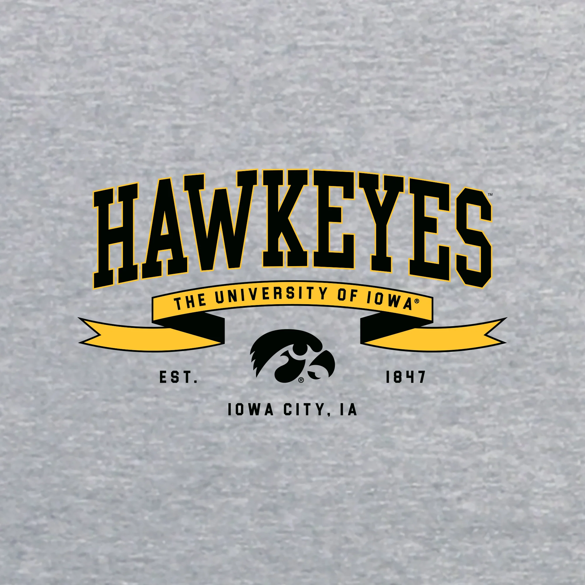 Iowa Ribbon Flight JA BTB Crewneck - Oxford - Image 2