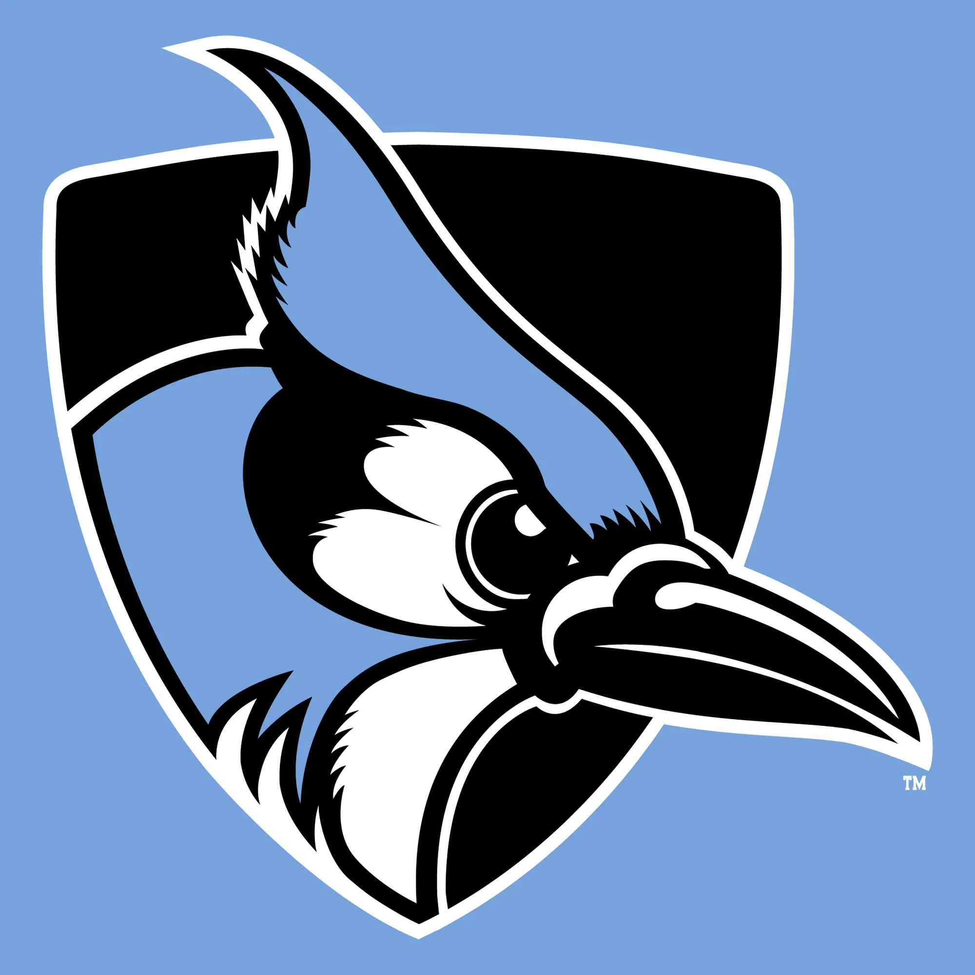 Johns Hopkins Blue Jays Primary Logo Long Sleeve - Carolina Blue - Image 2