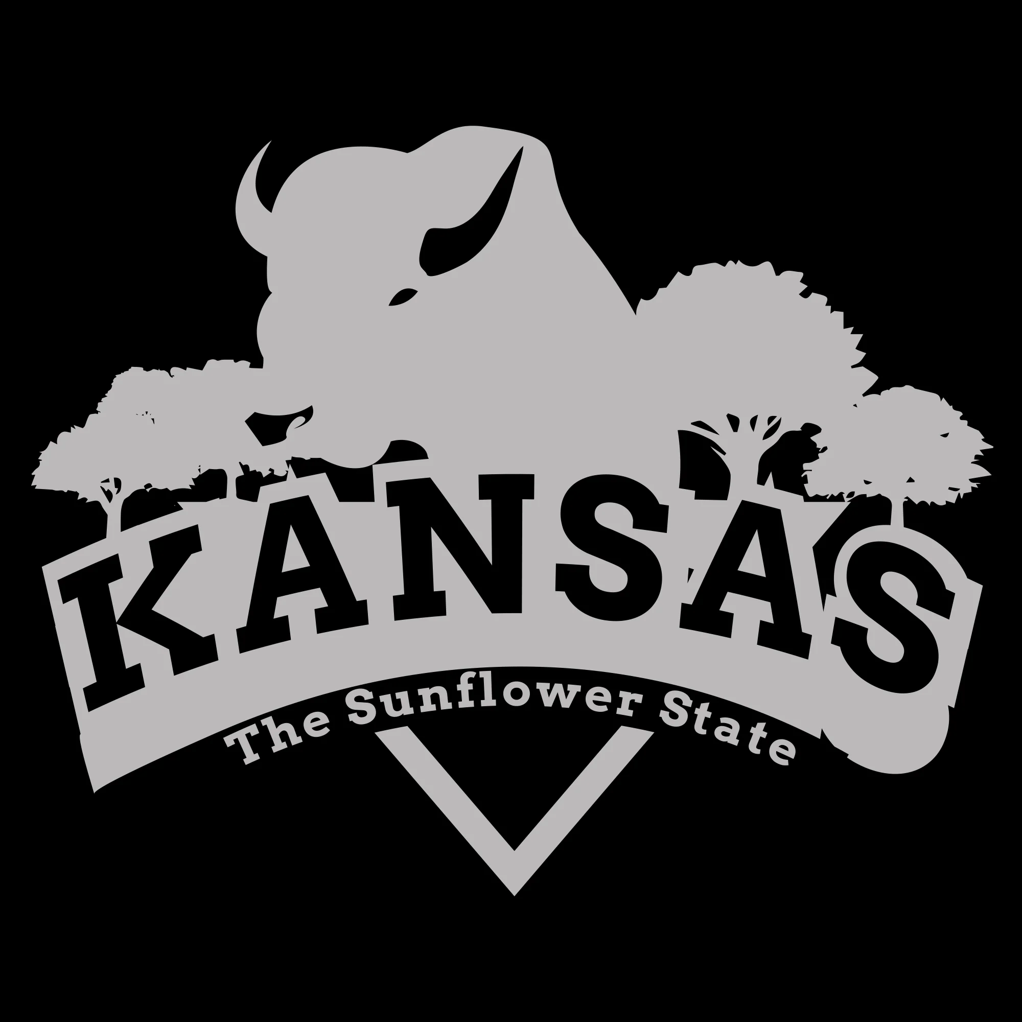 Kansas Buffalo Arch T-Shirt - Black - Image 2