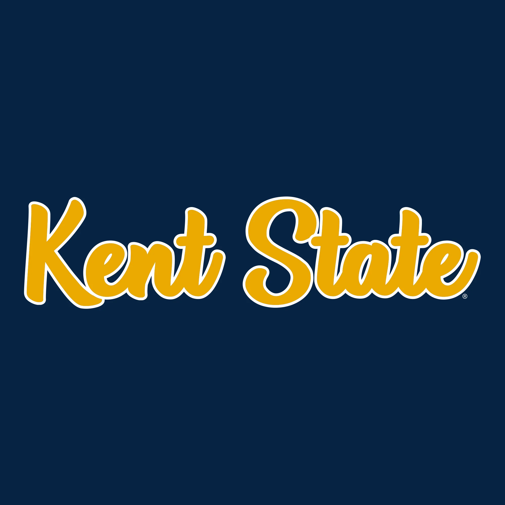 Kent State University Golden Flashes Basic Script Heavy Blend Hoodie - Navy - Image 2