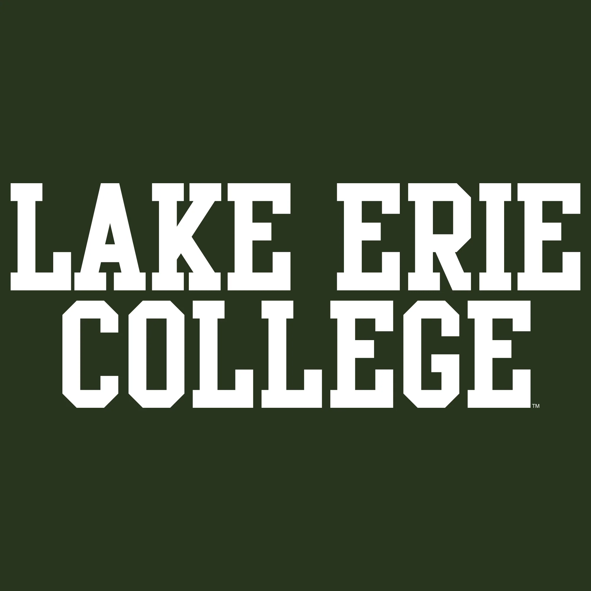 Lake Erie College Storm Basic Block Heavy Blend Hoodie - Forest - Image 2