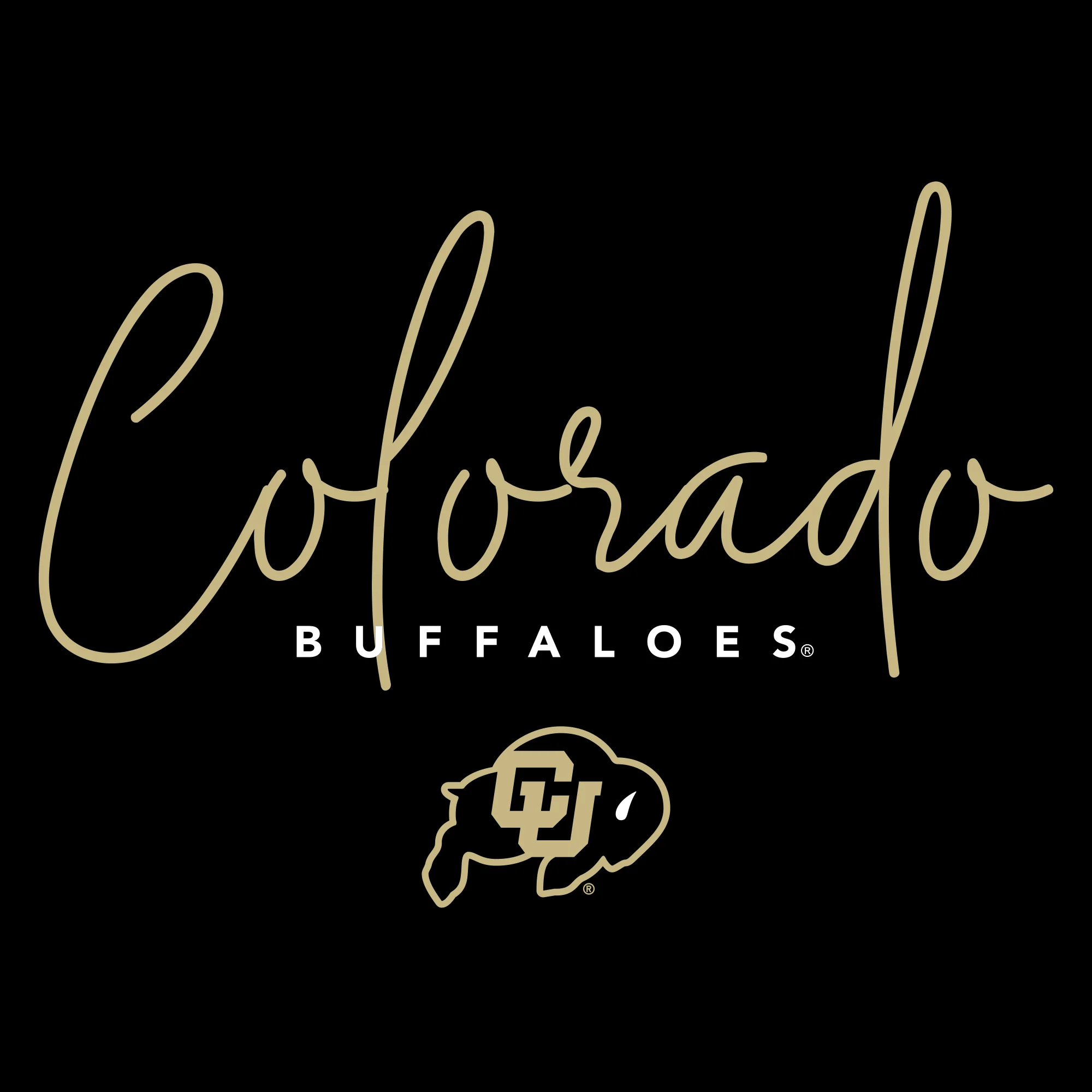 University of Colorado Buffaloes Thin Script Women's T Shirt - Black - Image 2
