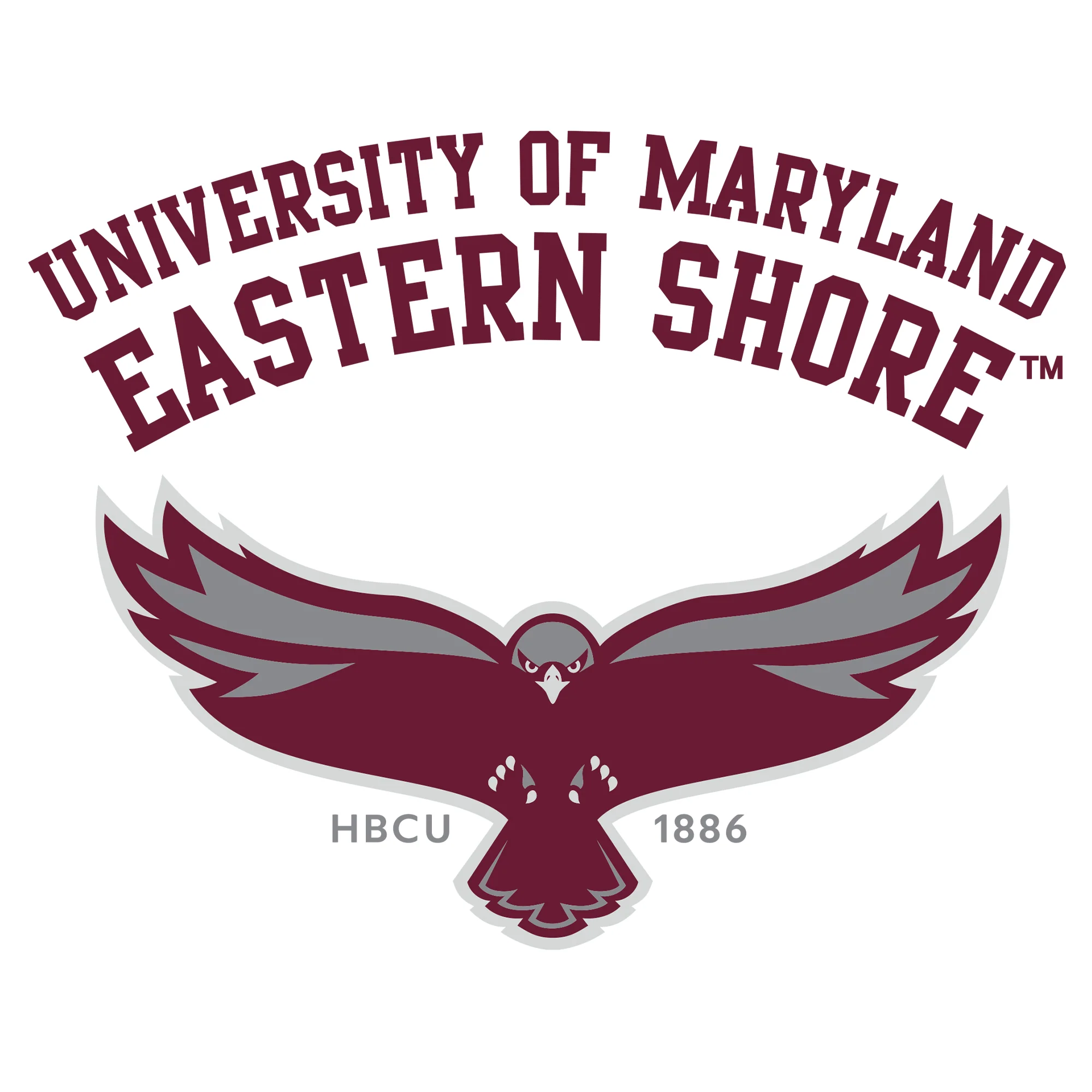 Maryland Eastern Shore Hawks Arch Logo Hoodie - White - Image 2