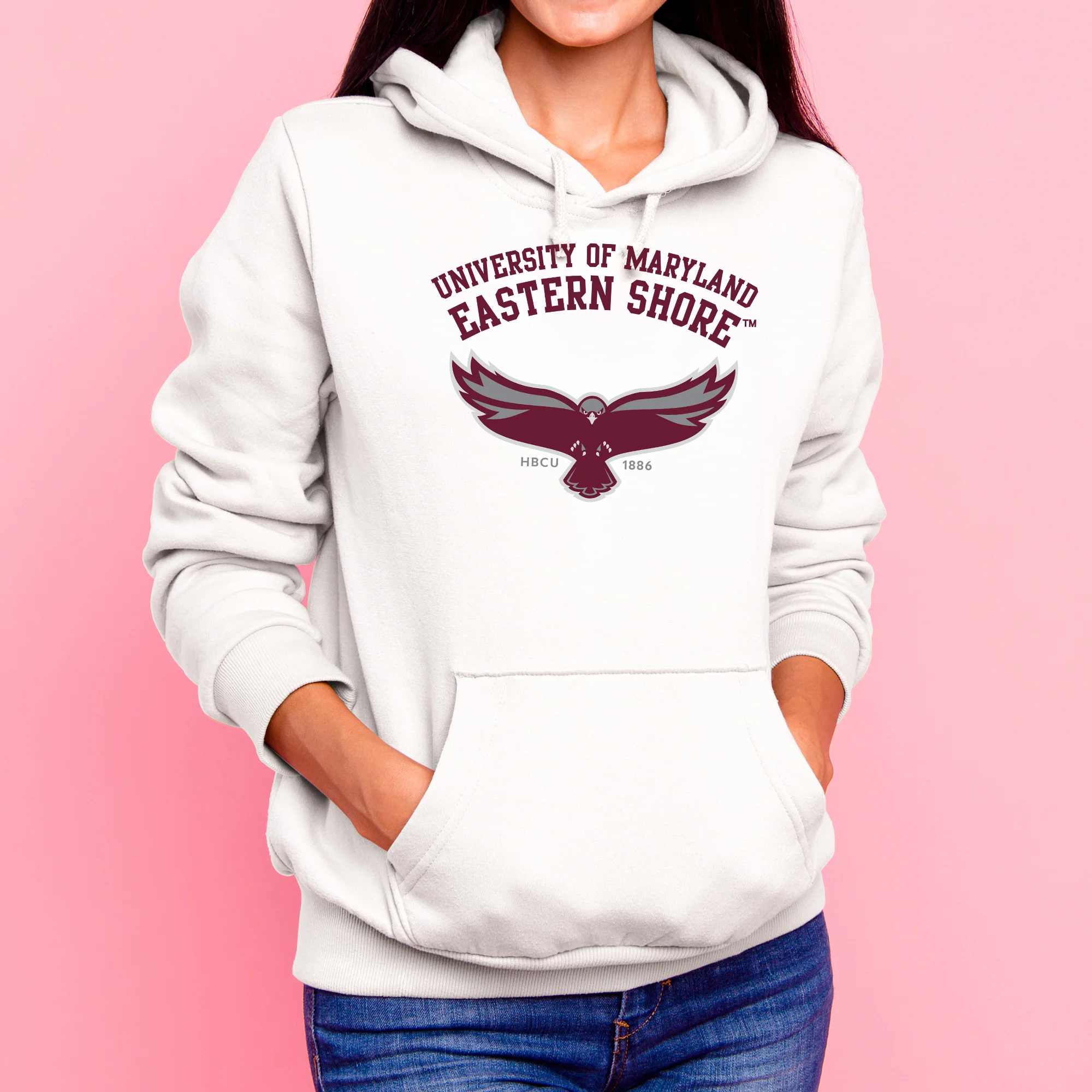 Maryland Eastern Shore Hawks Arch Logo Hoodie - White - Image 4