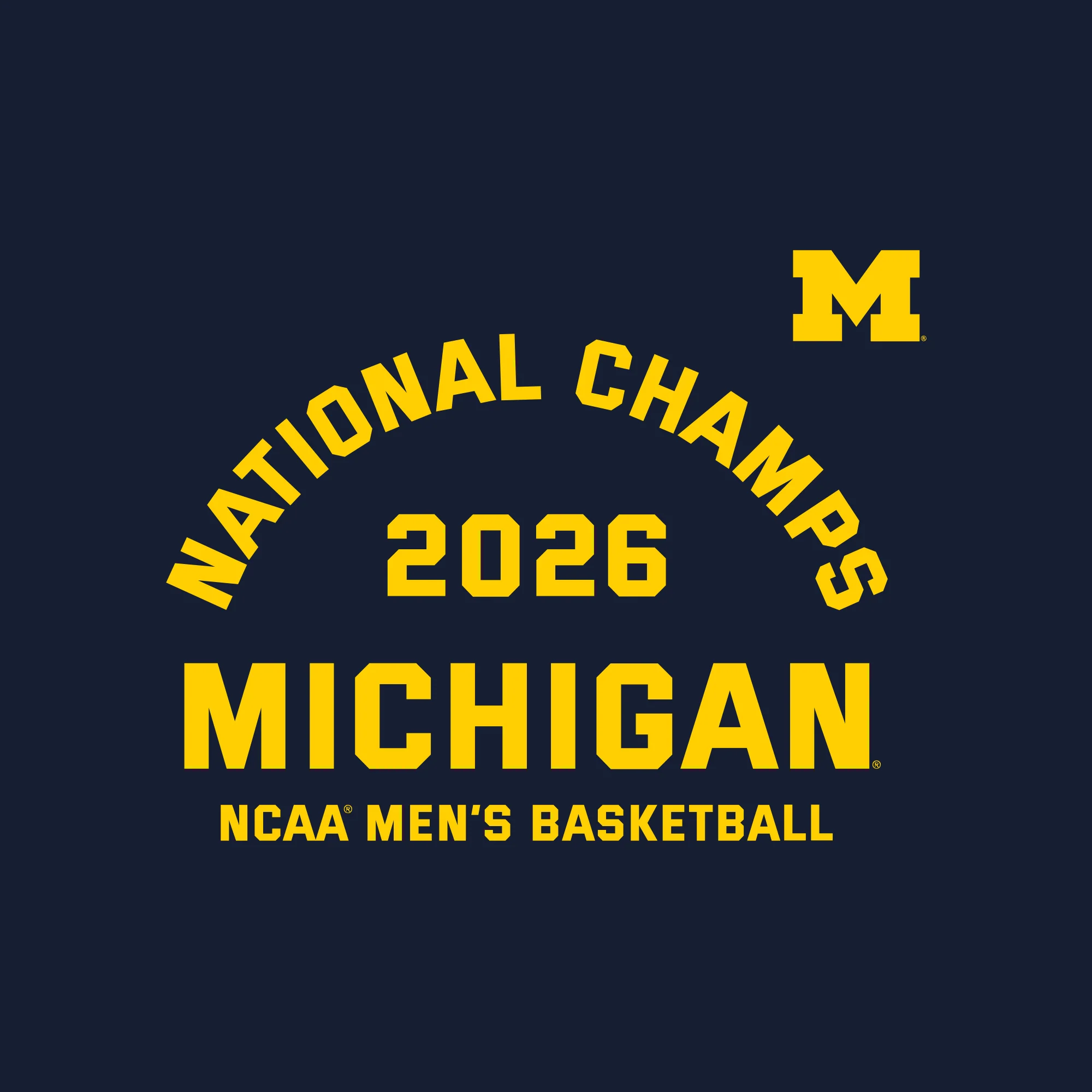 Michigan 2026 Basketball National Champions Blocker Hoodie - Image 6
