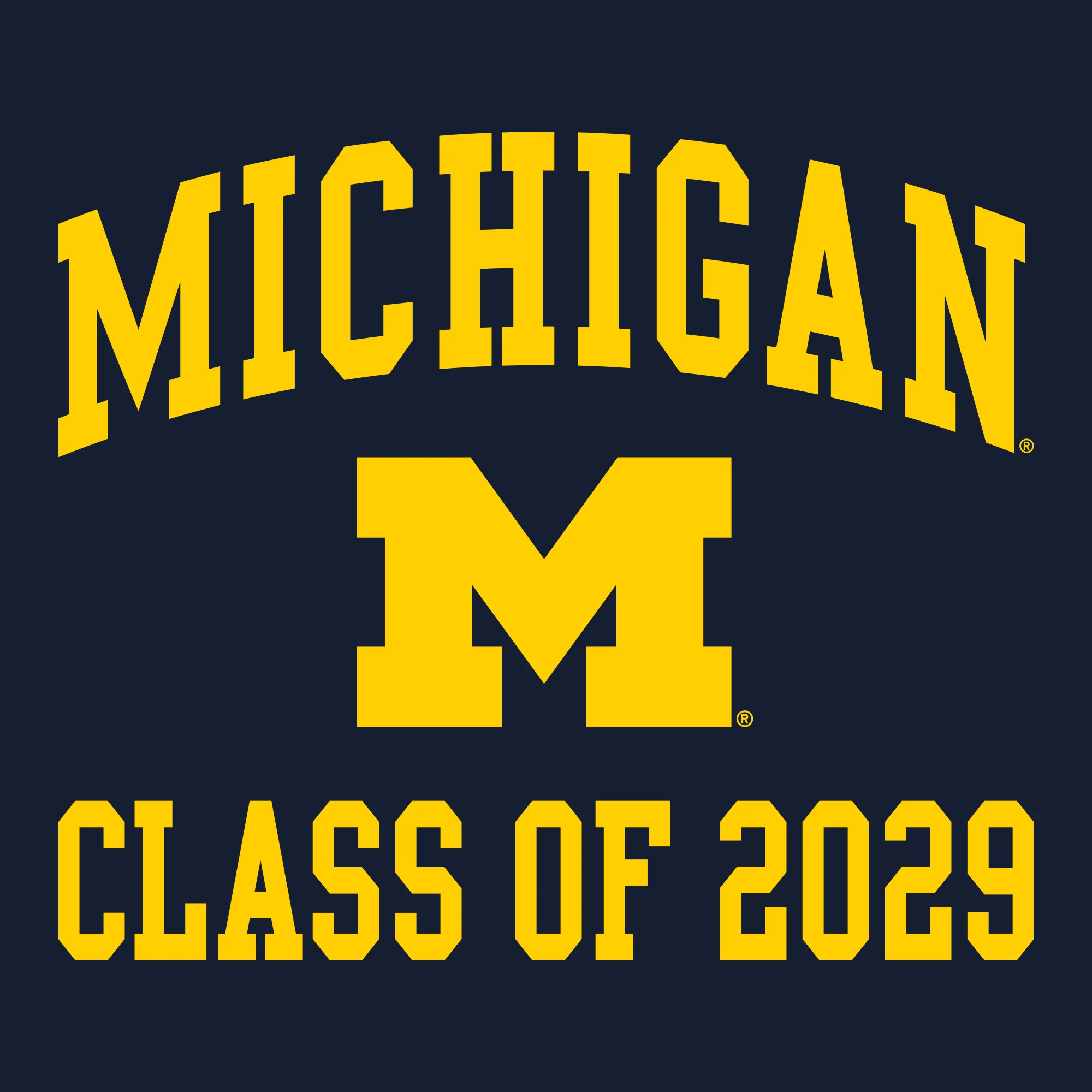 Michigan Arch Logo Class of 2029 Hoodie - Navy - Image 2