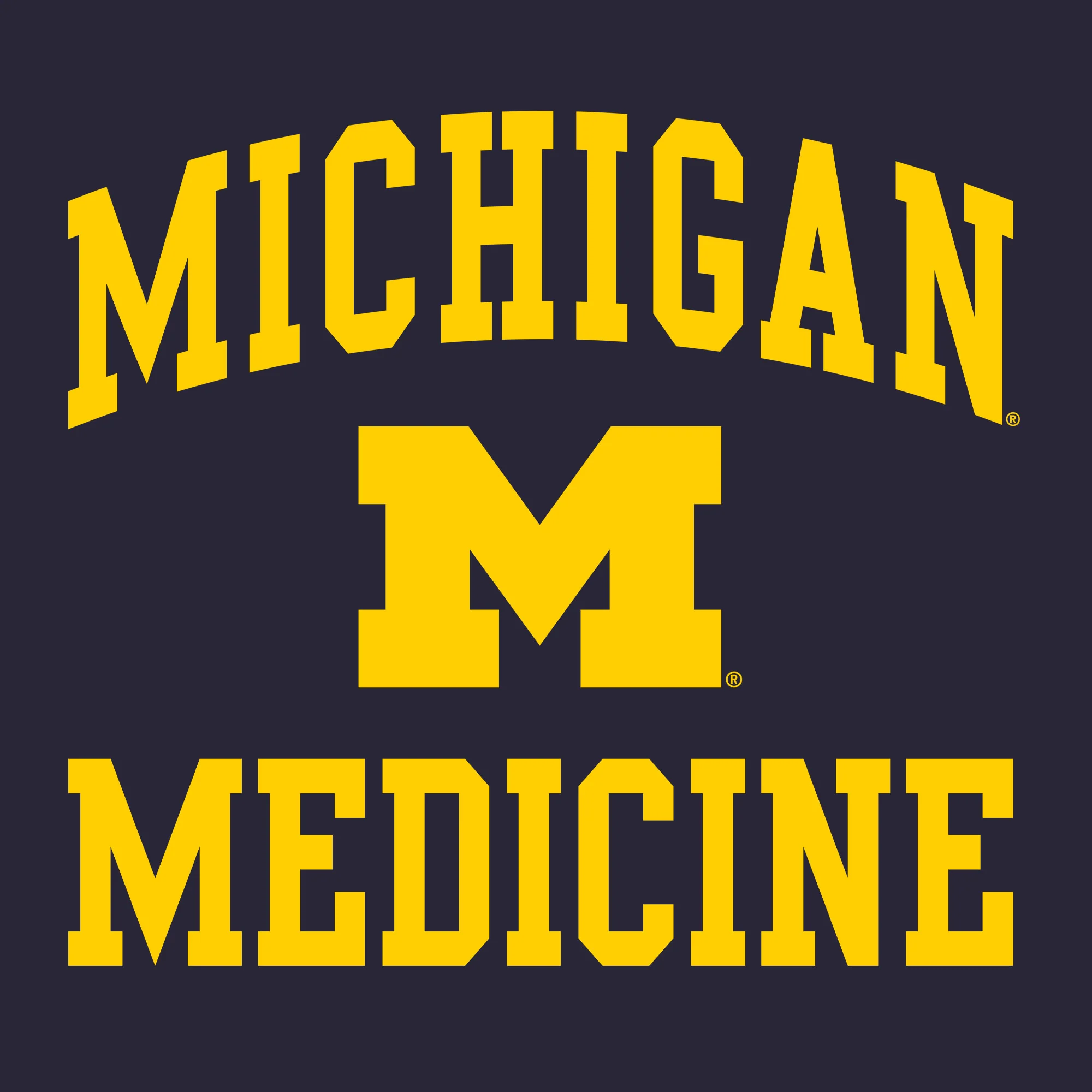 Michigan Arch Logo Medicine Hoodie - Navy - Image 2