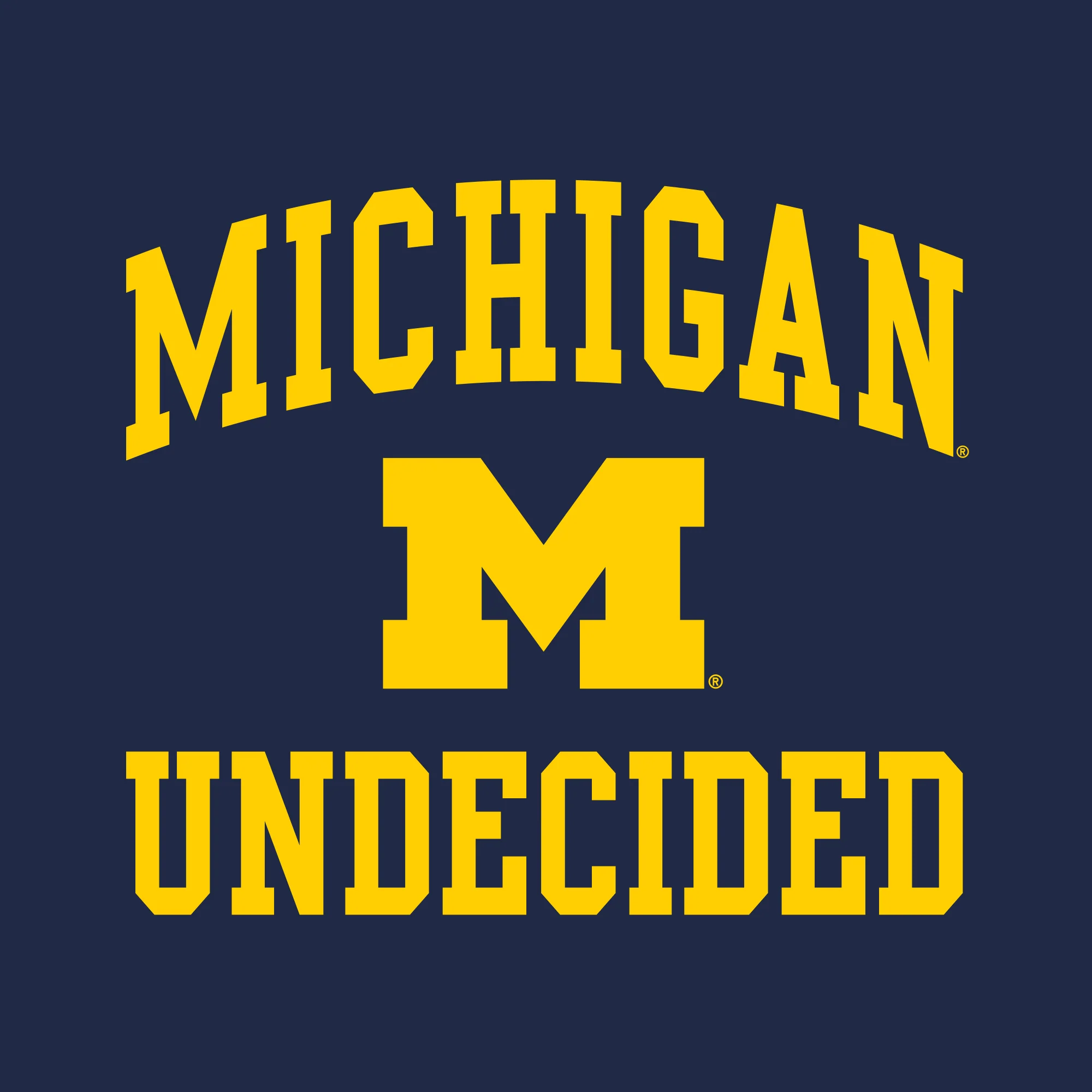 Arch Logo Undecided University of Michigan Basic Cotton Short Sleeve T-Shirt - Navy - Image 2