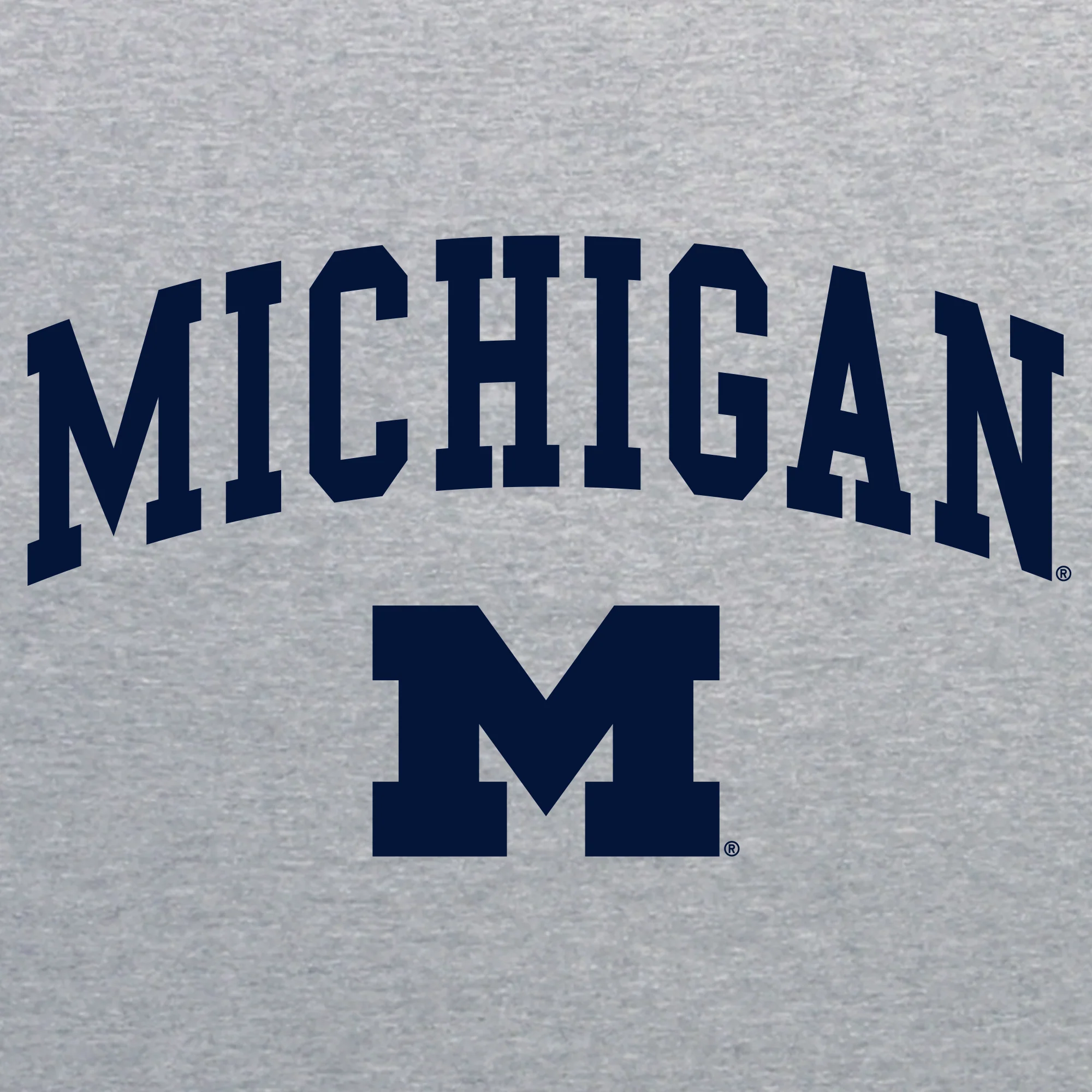 Michigan Arch Logo Tall Crewneck - Image 5