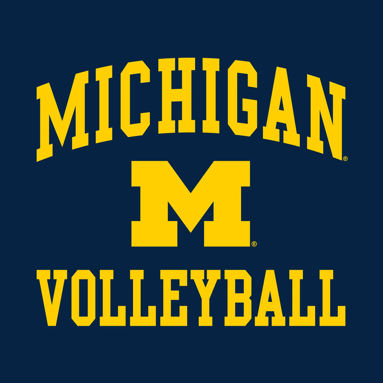 University of Michigan Wolverines Arch Logo Volleyball Short Sleeve T-Shirt - Navy - Image 2