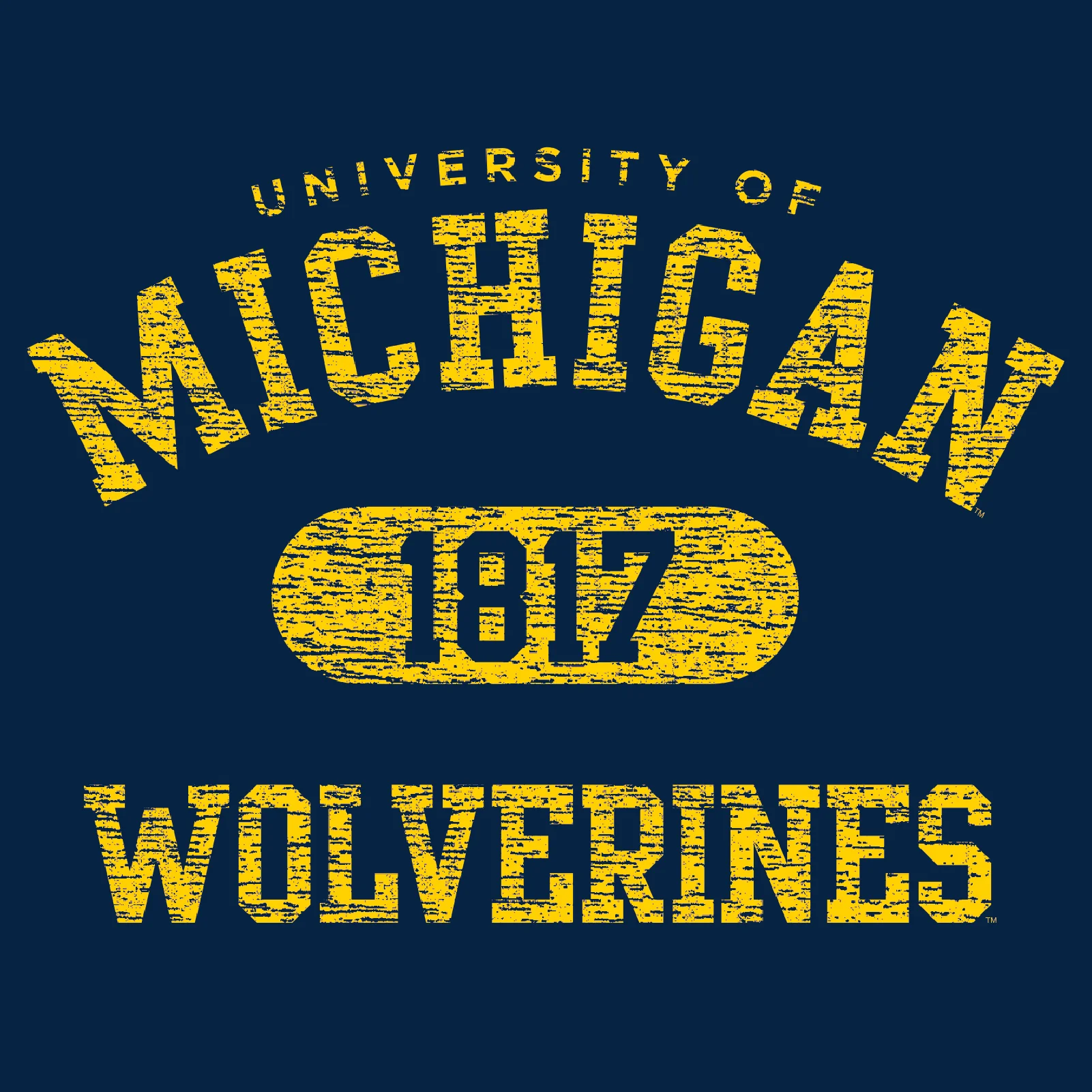 Michigan Wolverines Athletic Arch Logo Hoodie - Navy - Image 2
