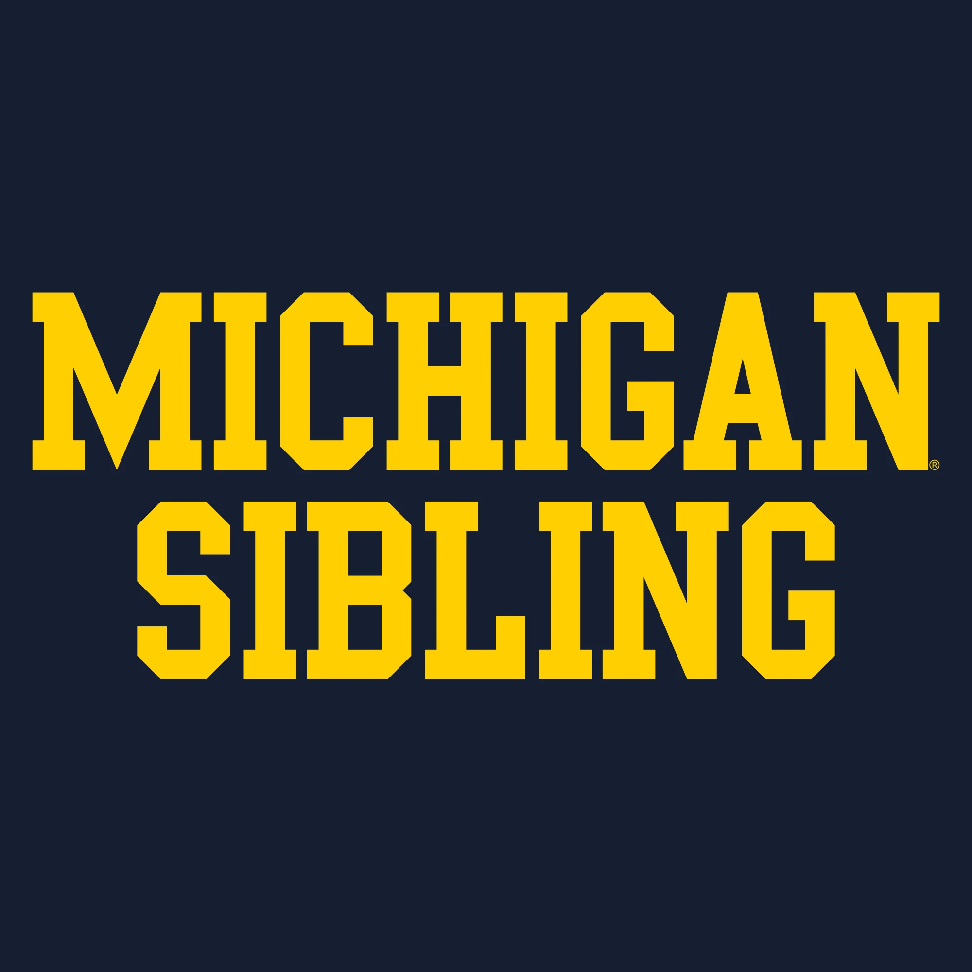 Michigan Basic Block Sibling Youth T-Shirt - Navy - Image 2