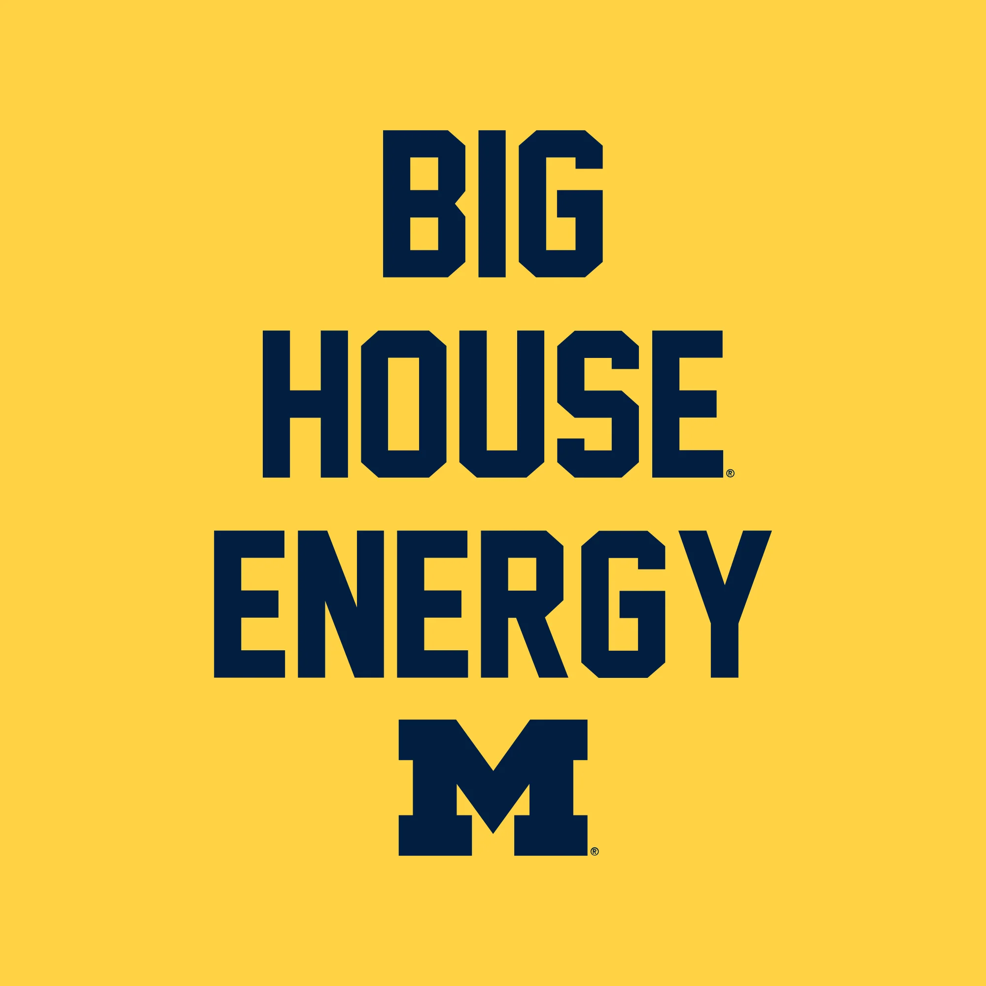 Michigan Big House Energy T-Shirt - Daisy - Image 2
